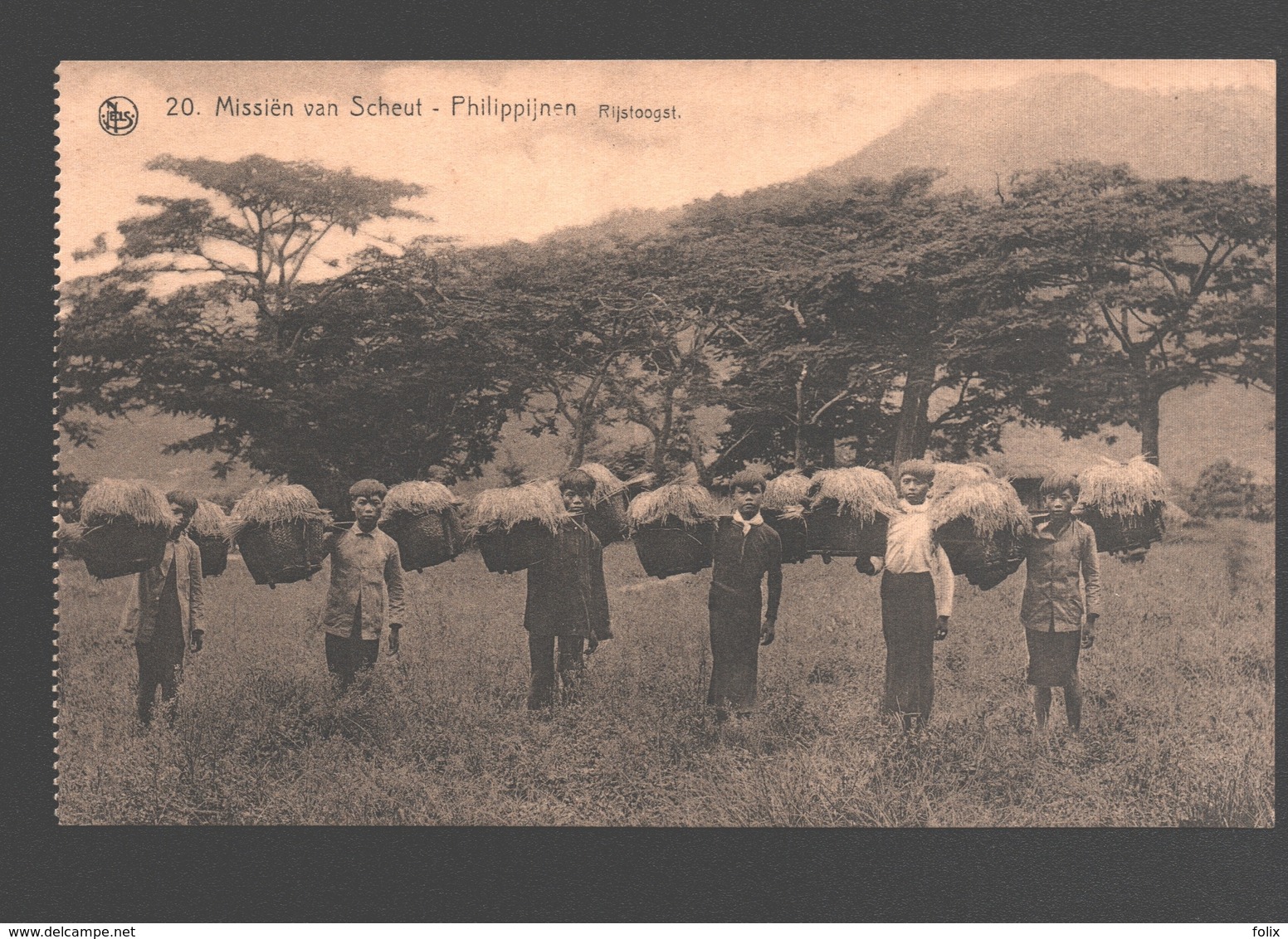 Philippines - Missiën Van Scheut - Philippijnen - Rijstoogst / Rice Harvest - Philippines