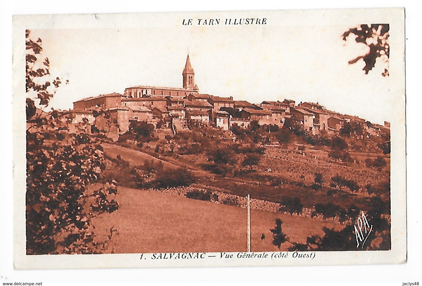 SALVAGNAC   (cpa 81)  Vue Générale (côté Ouest)   -  L 1 - Salvagnac