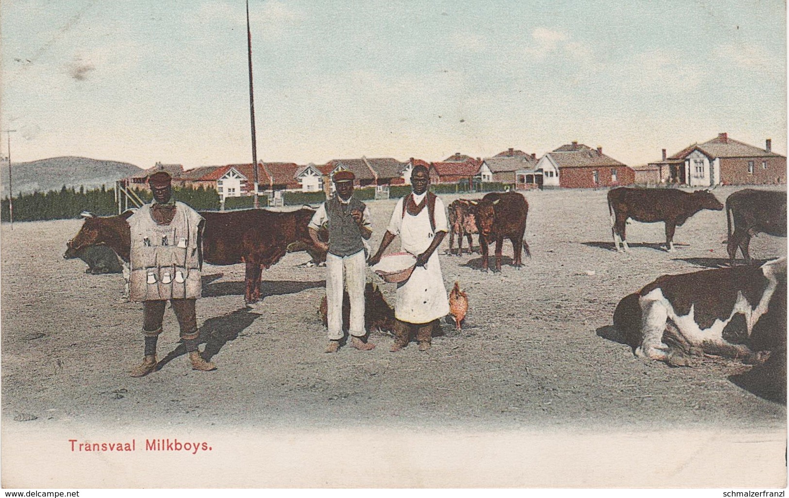 CPA - AK Transvaal Milkboys A Pretoria Südafrikanische Republik Kolonie Colony ZAR Südafrika Afrique De Sud South Africa - South Africa