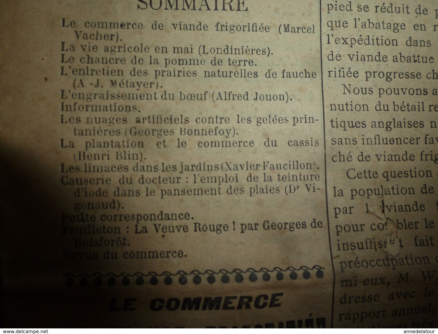 1914 L'AMI DU CULTIVATEUR-->La Viande Frigorifiée;La Production Et Commerce Du Cassis;Comment Faire Un Bœuf Gras;etc - 1801-1900