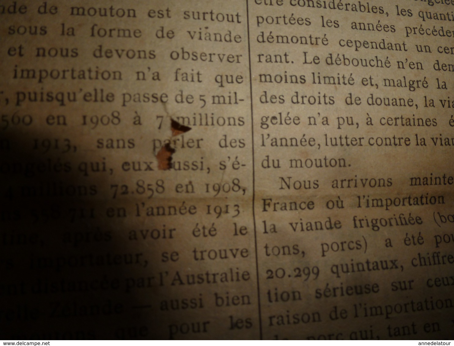 1914 L'AMI DU CULTIVATEUR-->La Viande Frigorifiée;La Production Et Commerce Du Cassis;Comment Faire Un Bœuf Gras;etc - 1801-1900