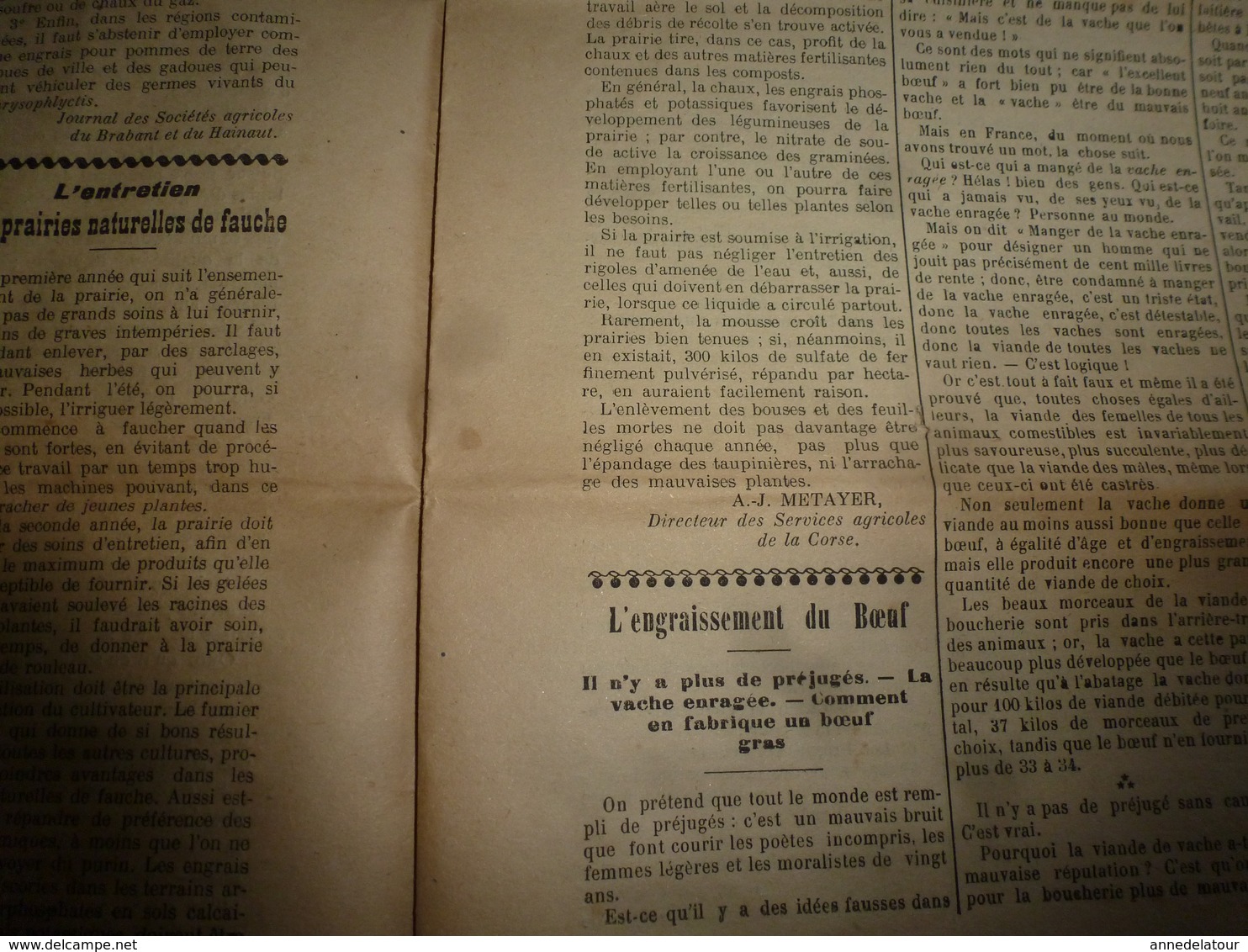 1914 L'AMI DU CULTIVATEUR-->La viande frigorifiée;La production et commerce du cassis;Comment faire un bœuf gras;etc