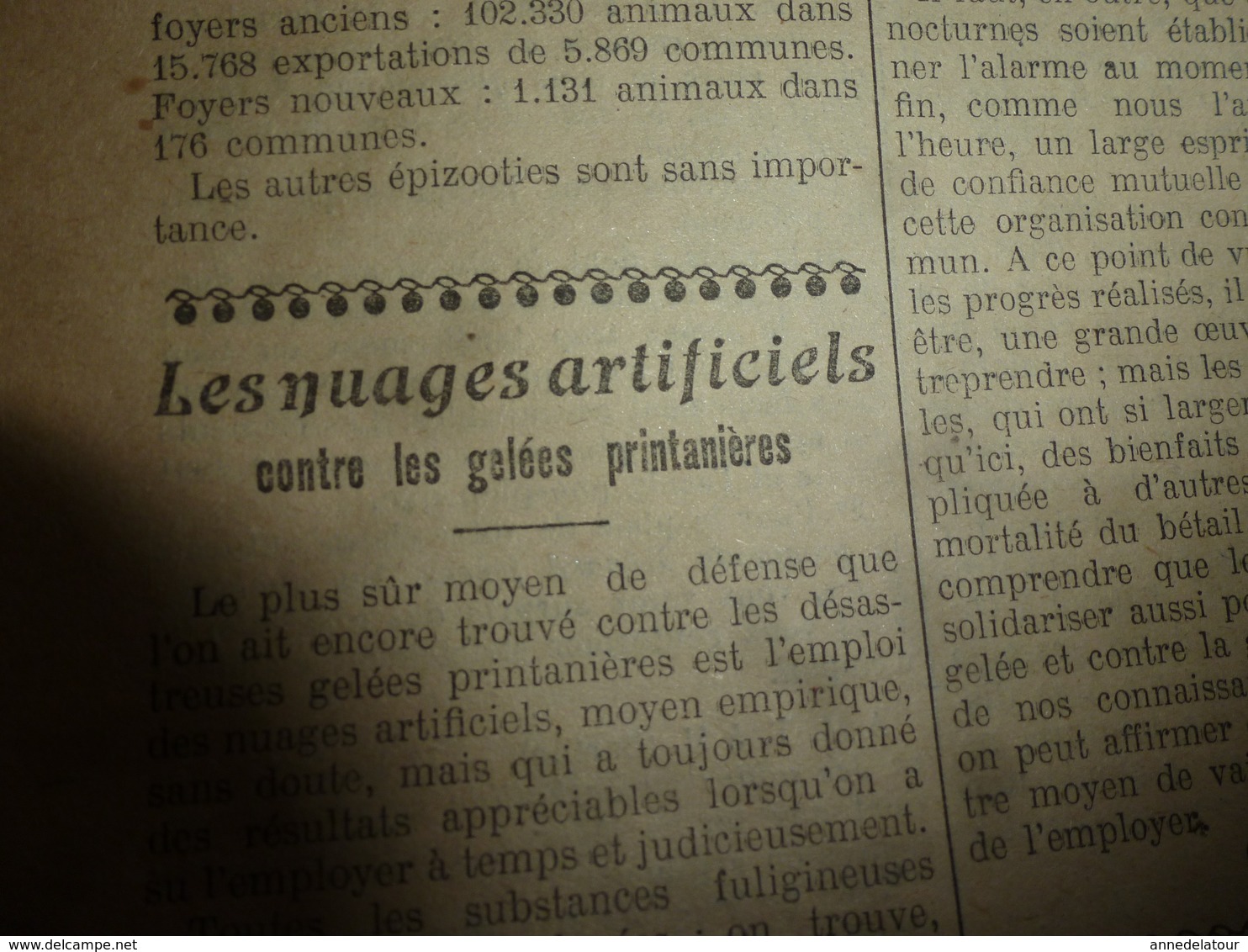 1914 L'AMI DU CULTIVATEUR-->La viande frigorifiée;La production et commerce du cassis;Comment faire un bœuf gras;etc