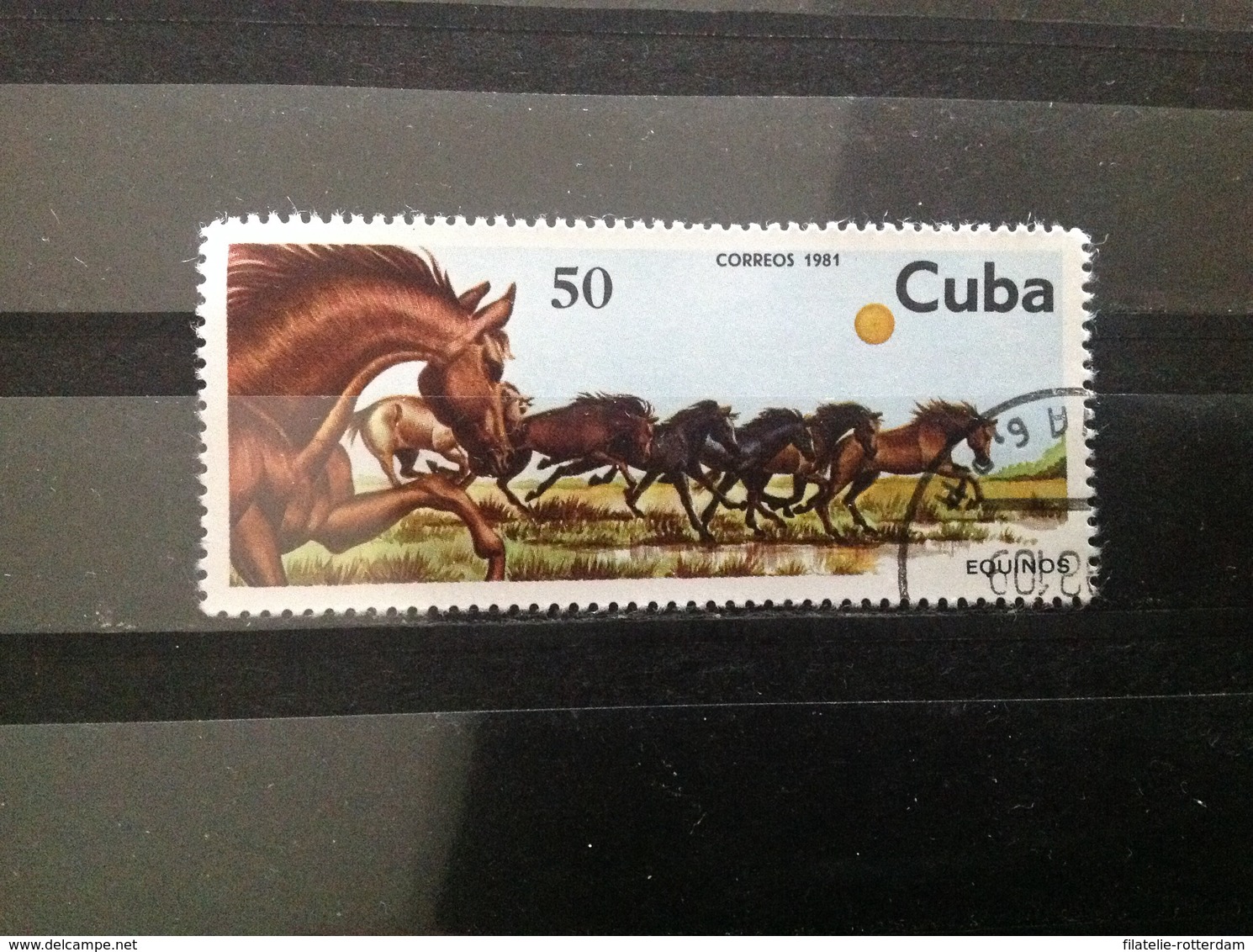 Cuba - Paarden (50) 1981 - Gebruikt