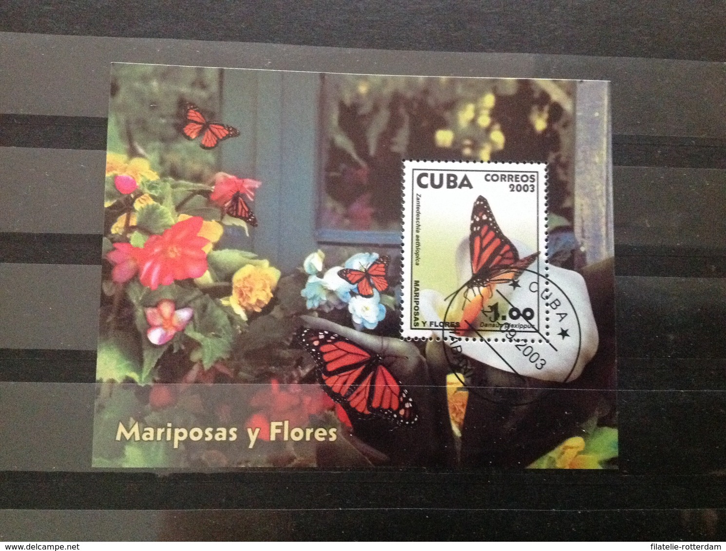 Cuba - Sheet Vlinders (1) 2003 - Oblitérés