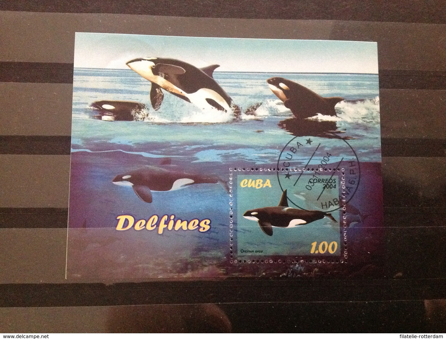 Cuba - Sheet Dolfijnen (1) 2004 - Used Stamps