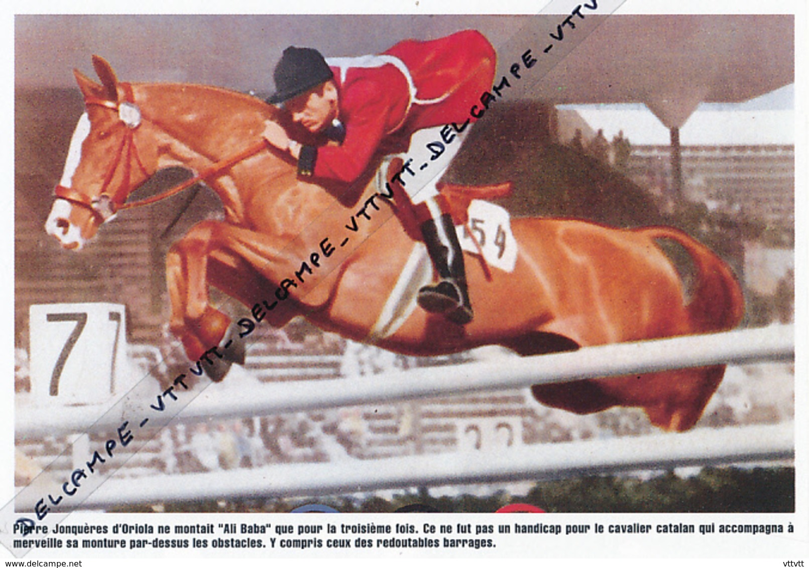 EQUITATION : PHOTO (1952), JEUX OLYMPIQUES, HELSINKI, PIERRE JONQUIERES D'ORIOLA SUR "ALI BABA", MEDAILLE D'OR - Collections