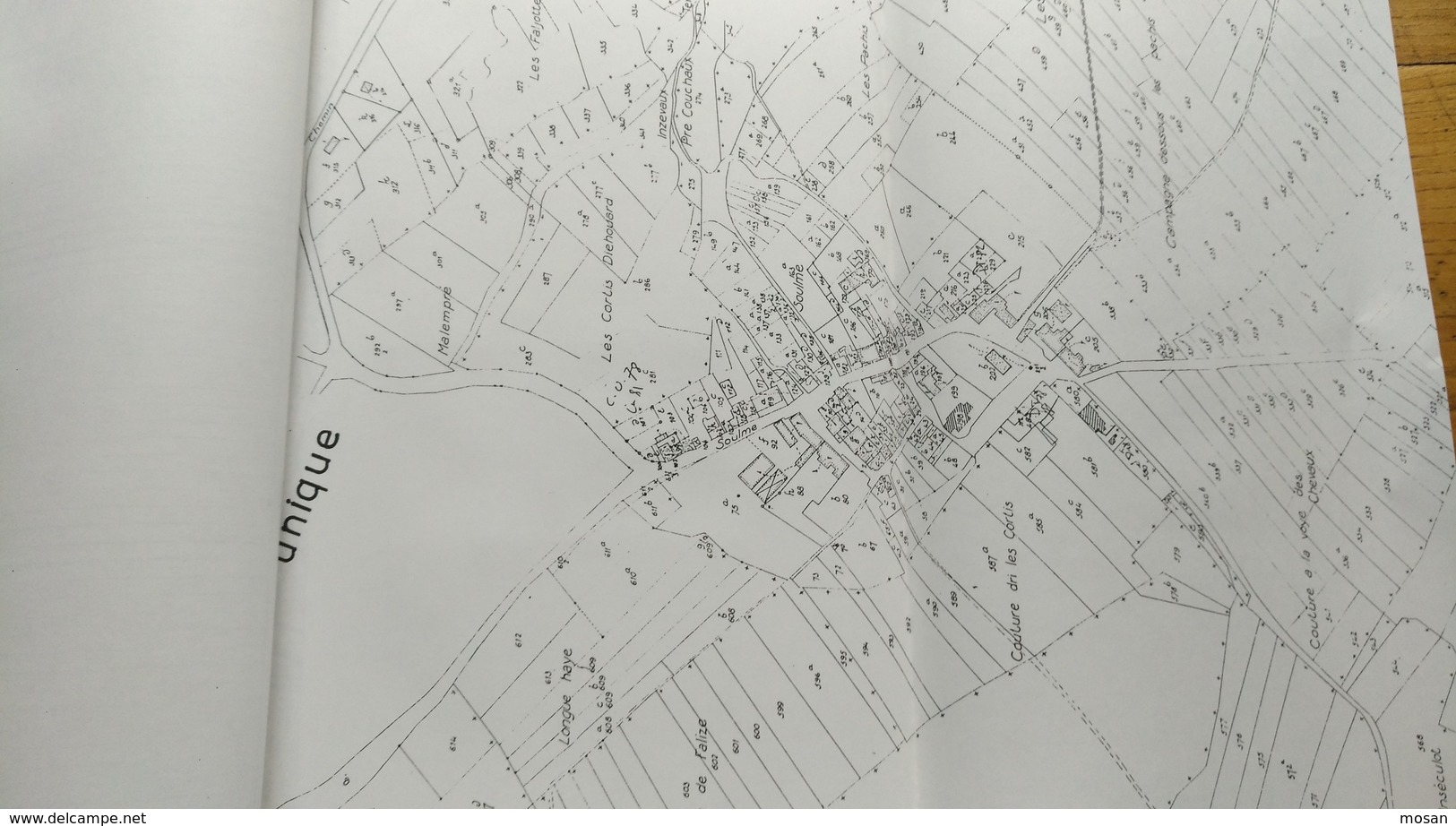 Région Wallonne. Urbanisme. Fagne-Famenne. Fagne Schisto-psammitique. Soulme. Typologie De L'habitat. Wallonie. - Belgique