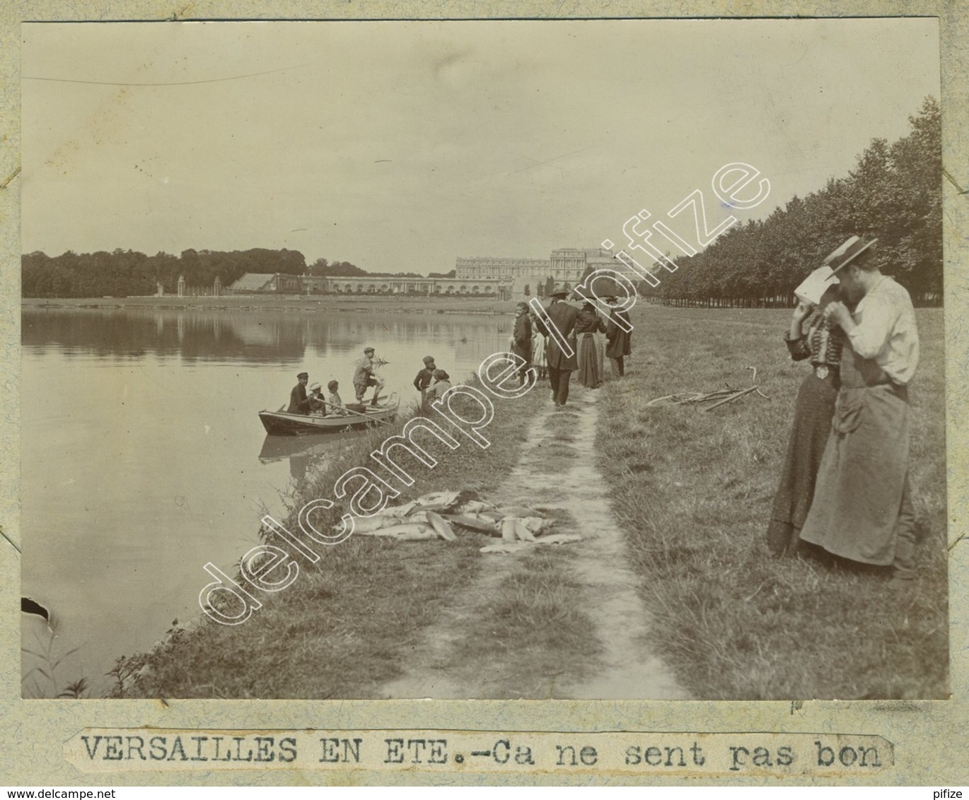 Hécatombe De Poissons à La Pièce D'eau Des Suisses Du Château De Versailles En été. 3 Citrates Vers 1900. Pêche. - Lieux