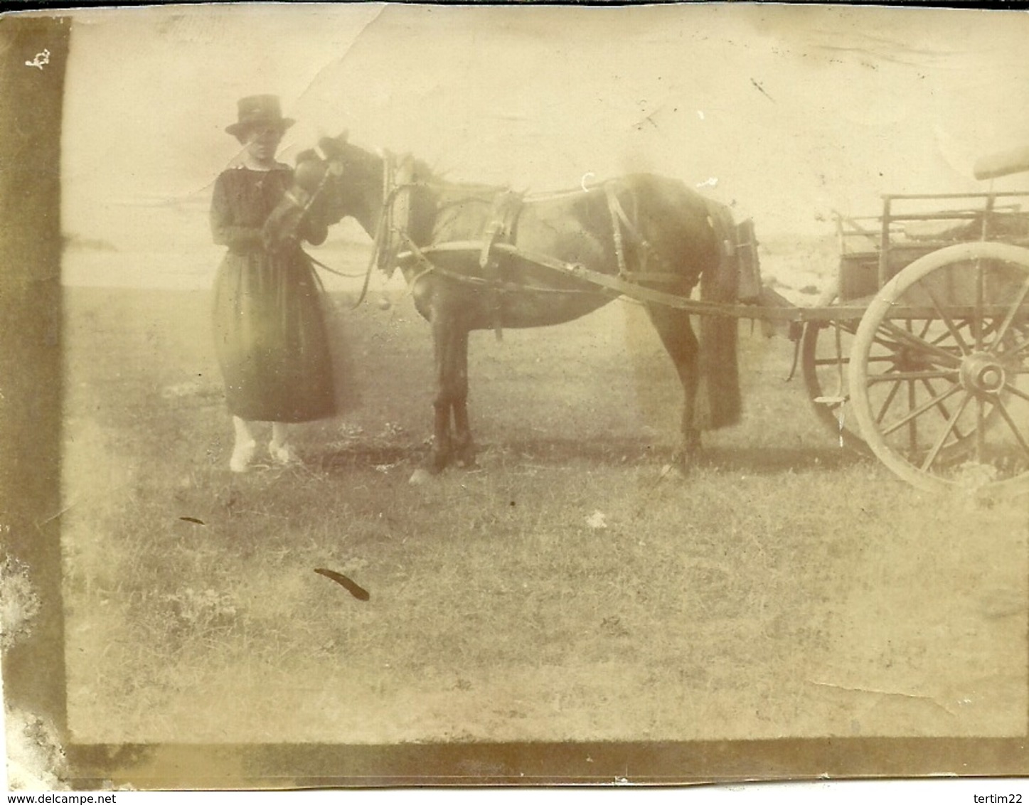 ( TRANSPORT )( VIEUX VEHICULES  )( CHEVAUX ) ( FEMME ) - Anciennes (Av. 1900)