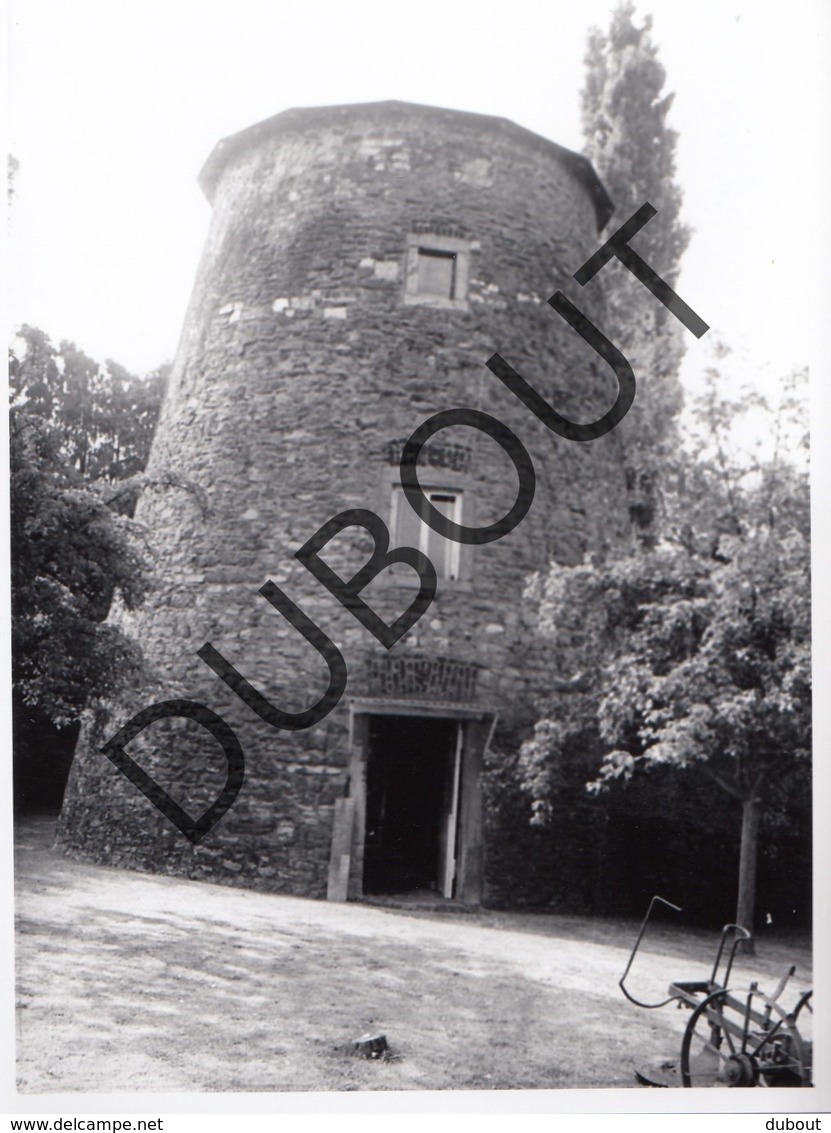 Belgrade Molen/Moulin Originele Foto A.Carre  C34 - Andenne