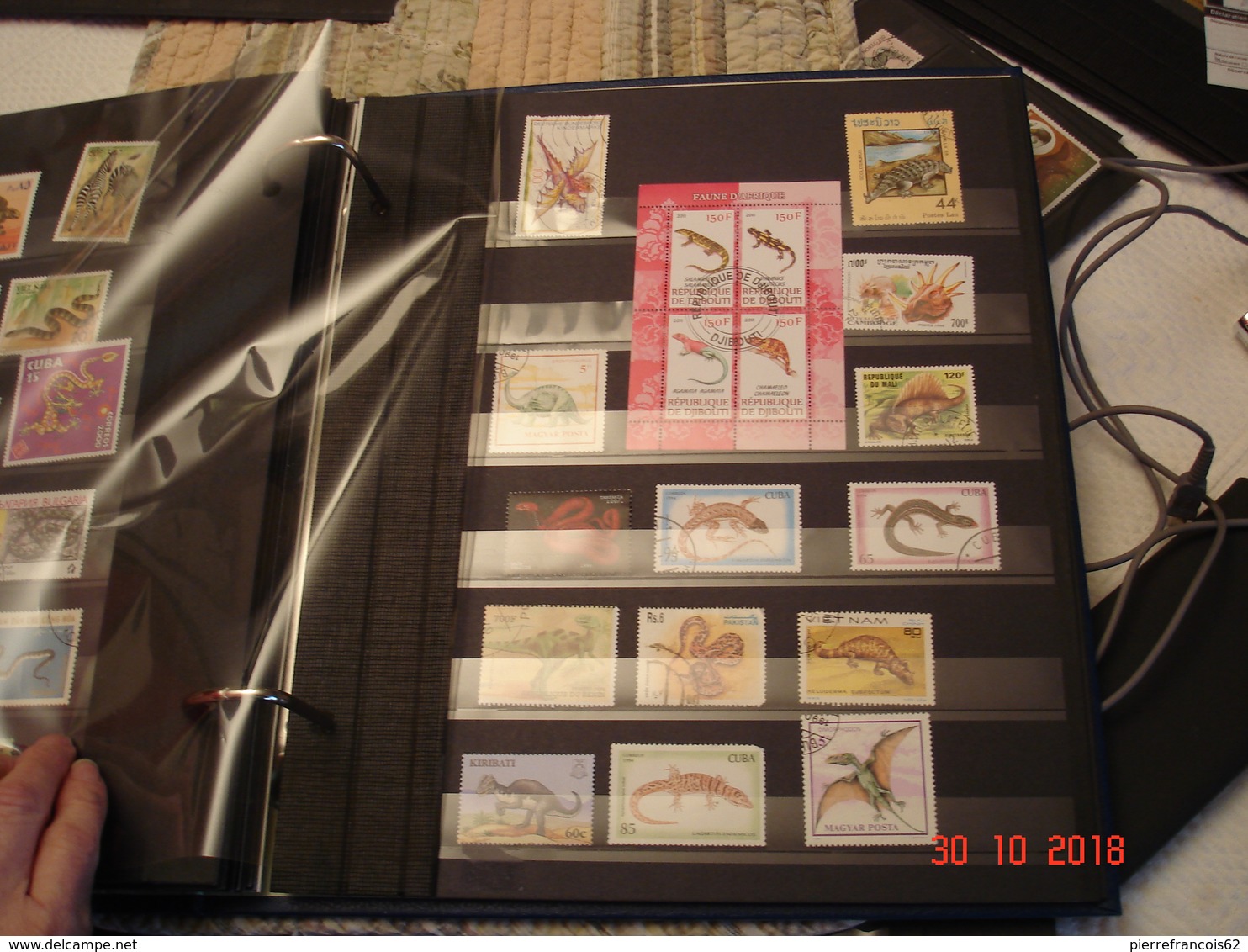 BEL ALBUM CONTENANT UNE COLLECTION DE TIMBRES SUR LES ANIMAUX SAUVAGES DANS LE MONDE