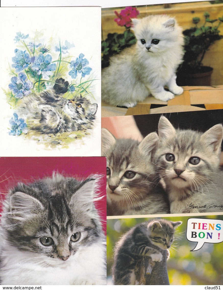 Lot de 36 cartes -Thème ; Les Chats et chatons