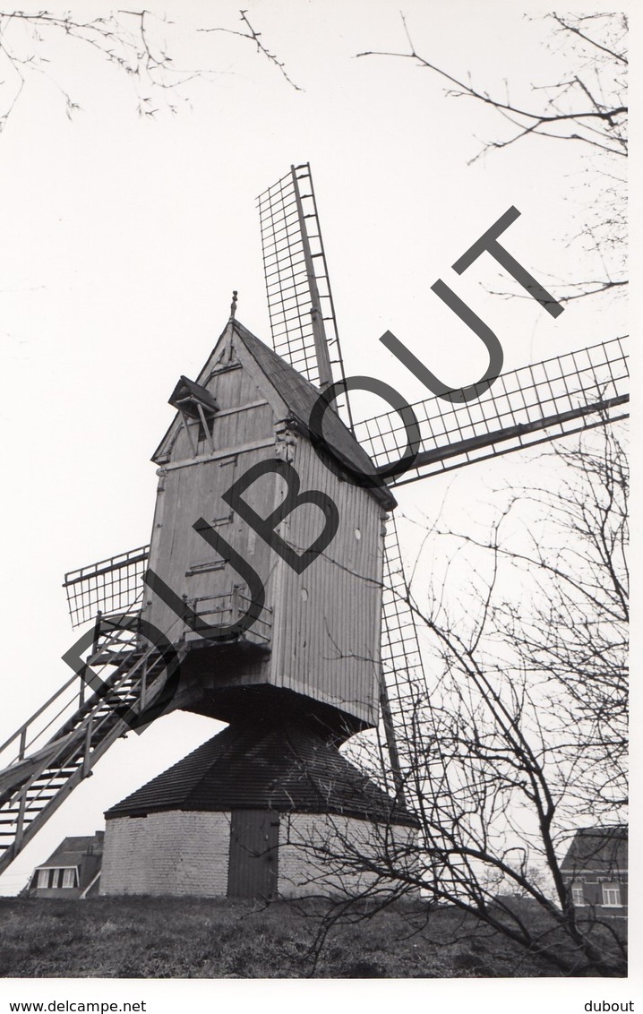 Heist Op Den Berg  Molen/Moulin Originele Foto C25 - Heist-op-den-Berg