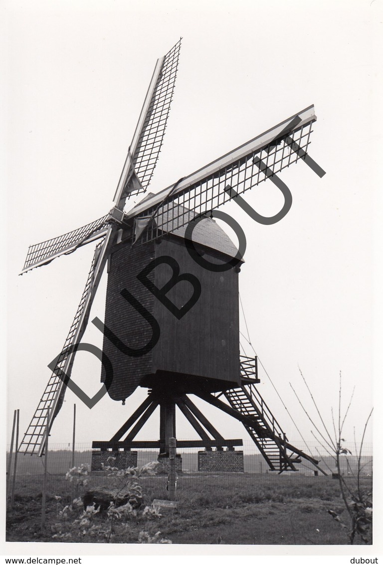 Gelrode - Aarschot Molen/Moulin Originele Foto C26 - Aarschot