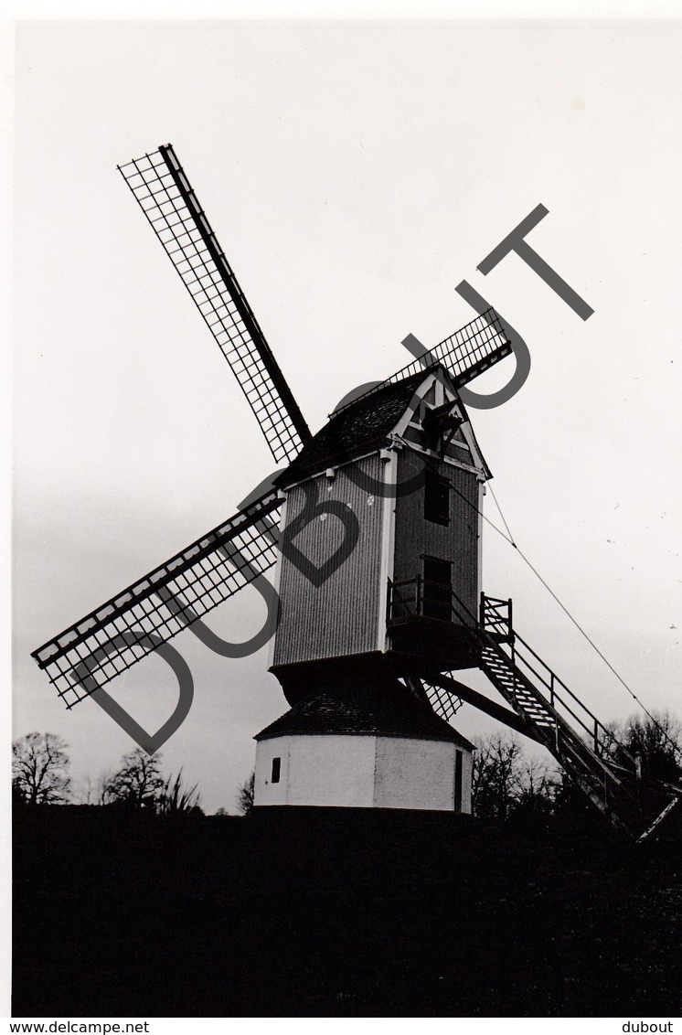 Bouwel Molen/Moulin Originele Foto C27 - Grobbendonk