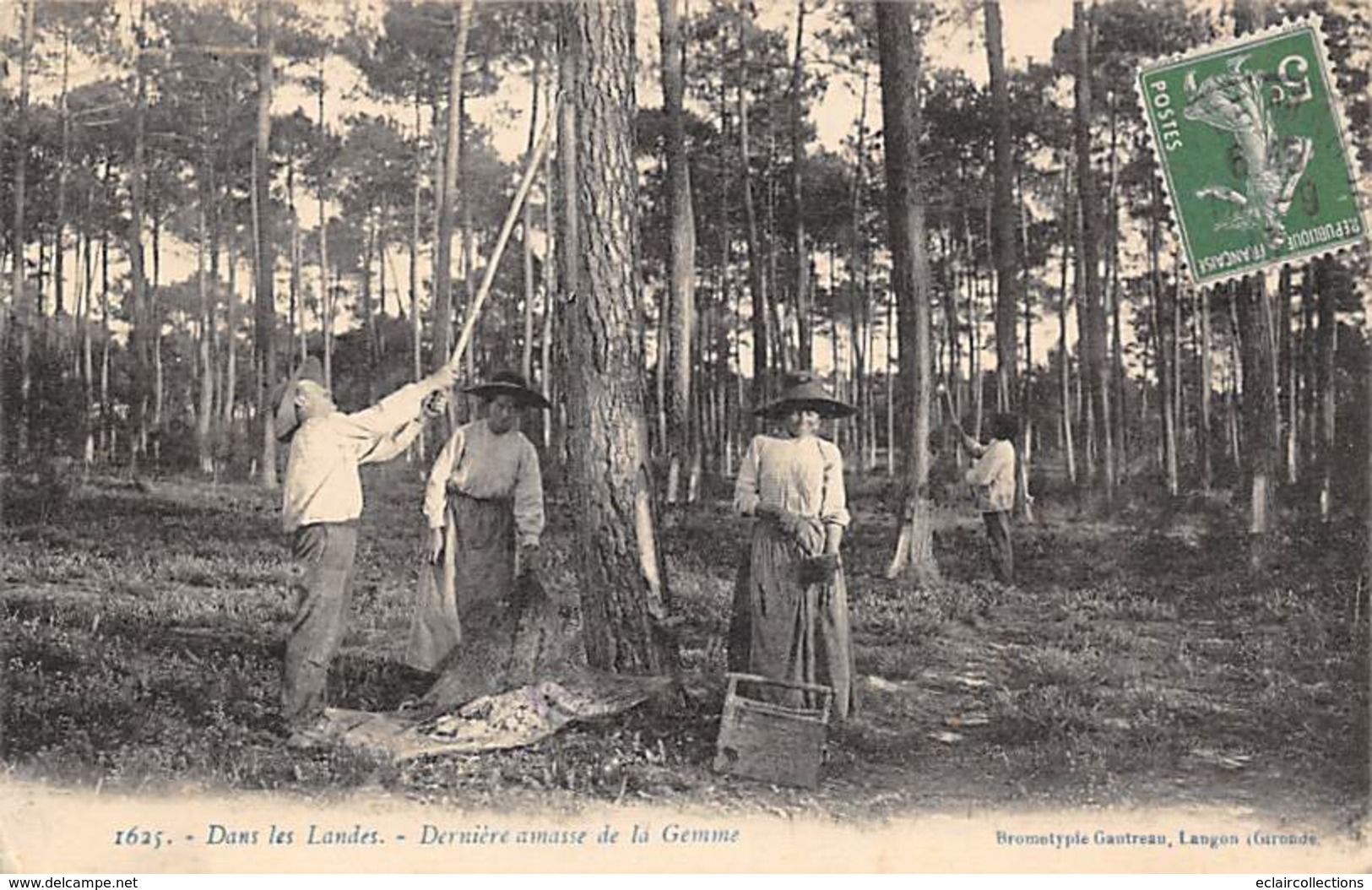 Landes     40     Non Localisée  Métier Résine.Dernière Amasse De La Gemme   (voir Scan) - Sonstige & Ohne Zuordnung