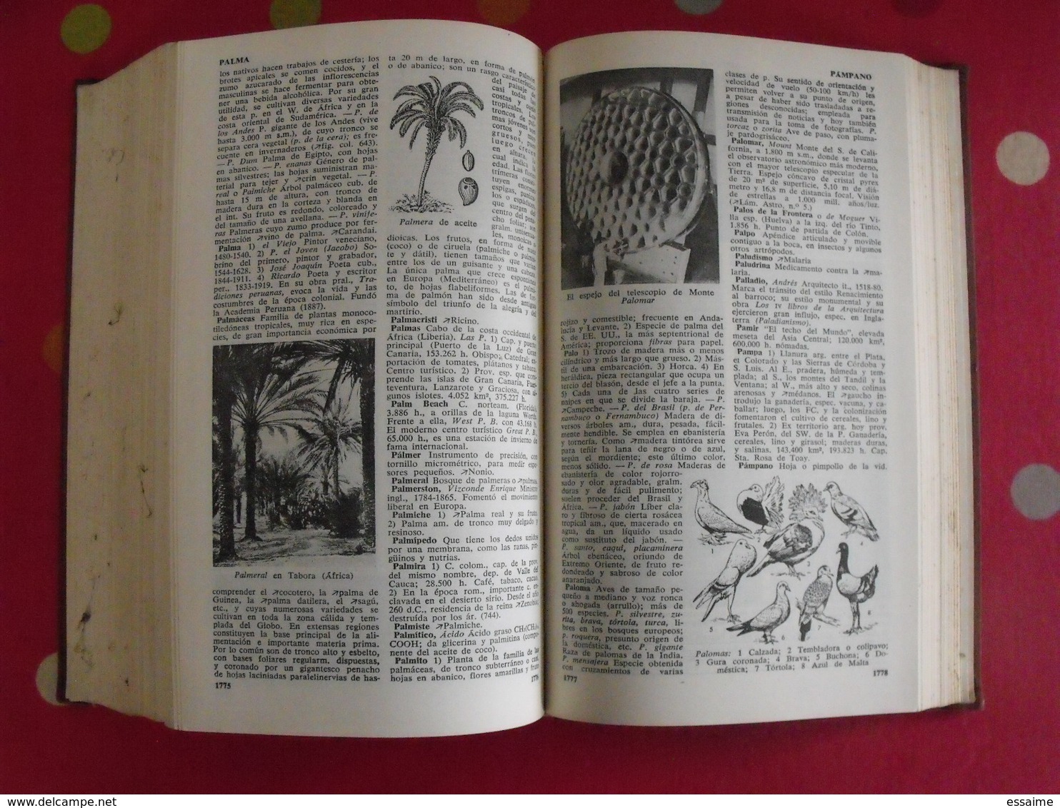 Enciclopedia Universal Herder. Barcelona 1954. Dictionnaire En Espagnol - Wörterbücher