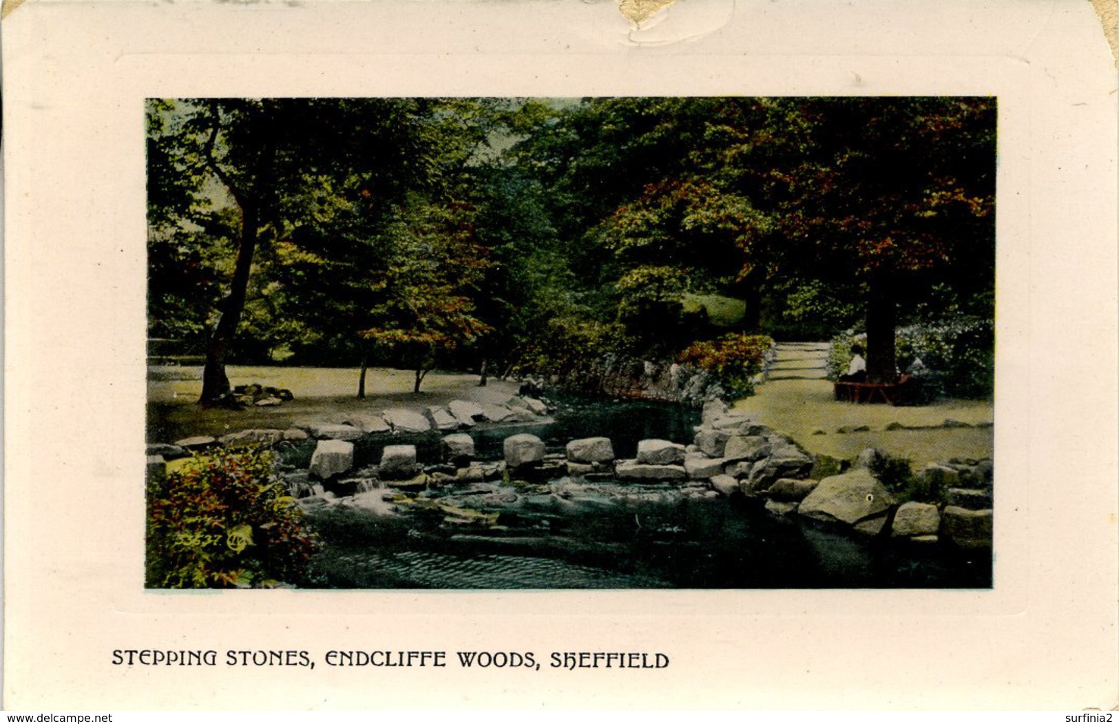 SOUTH YORKS - SHEFFIELD - ENDCLIFF WOODS - STEPPING STONES 1910 Ys95 - Sheffield