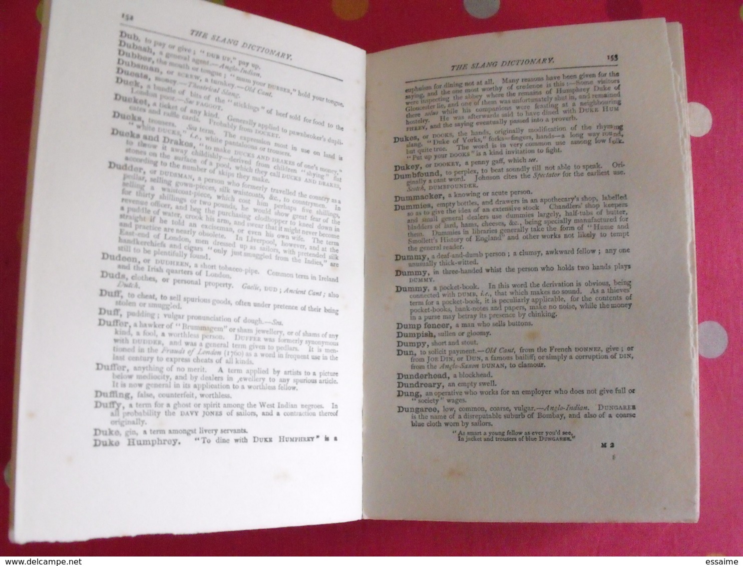 The Slang Dictionary Etymological Historical Anecdotal. Chatto & Windus, London, 1913 - Éducation/ Enseignement