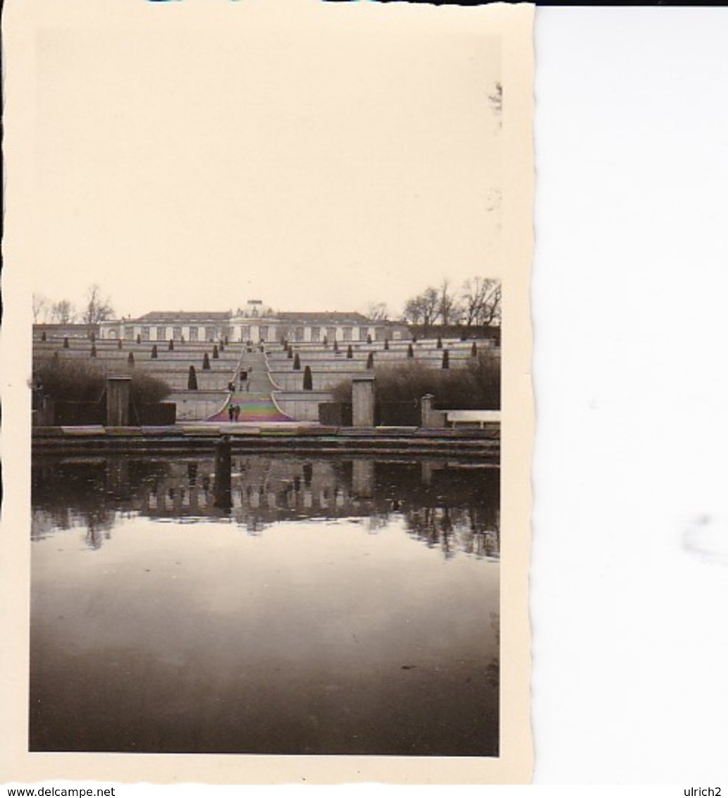 Foto Sanssouci - Ca. 1940 - 8*5,5cm (37399) - Orte