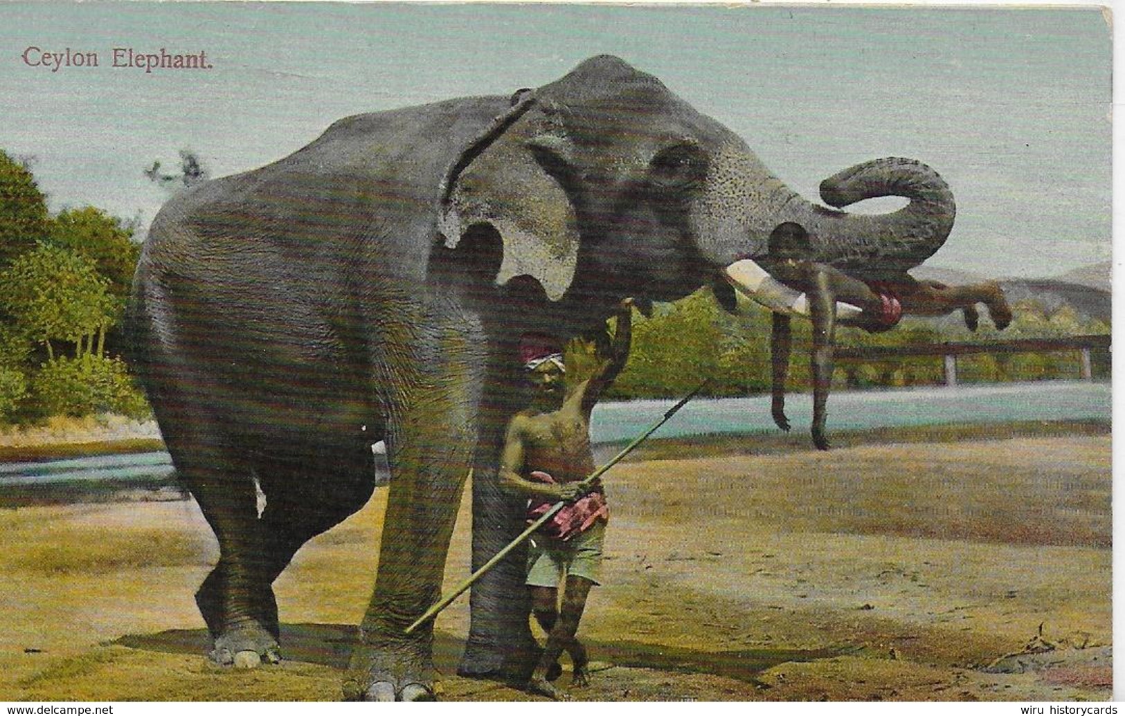 AK 0067  Ceylon Elephant Um 1910-20 - Elefantes