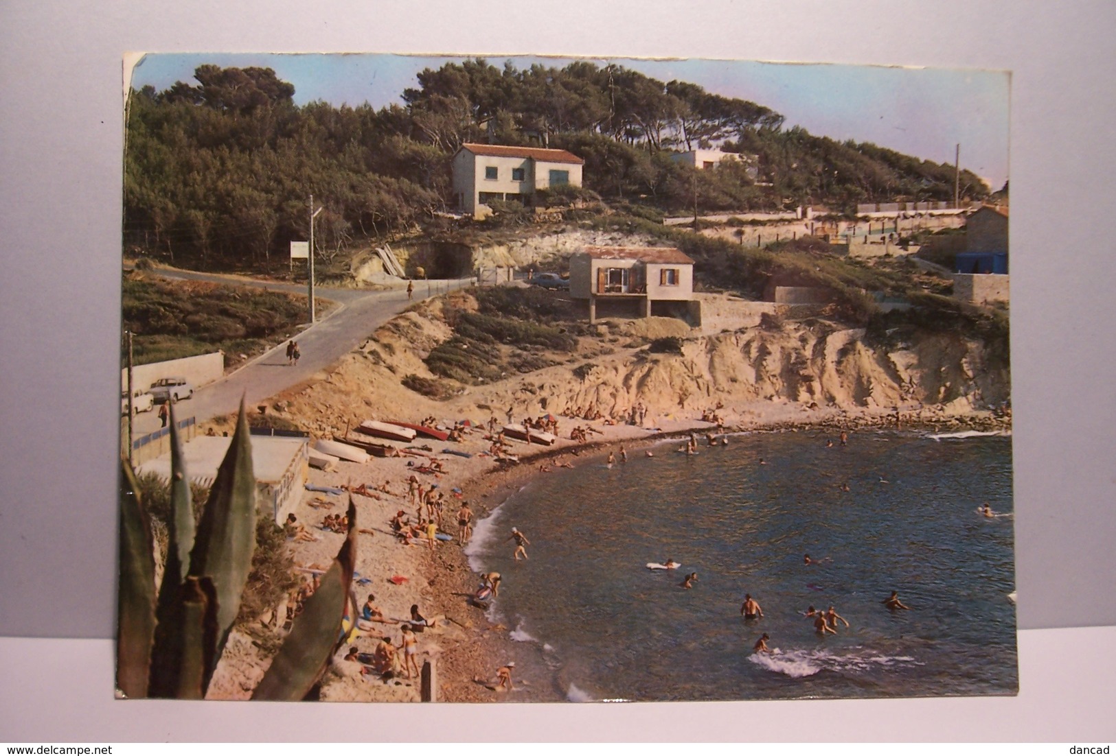 SANARY - SUR - MER  -  La  Plage De Beaucours    - ( Pas De Reflet Sur L'original ) - Sanary-sur-Mer