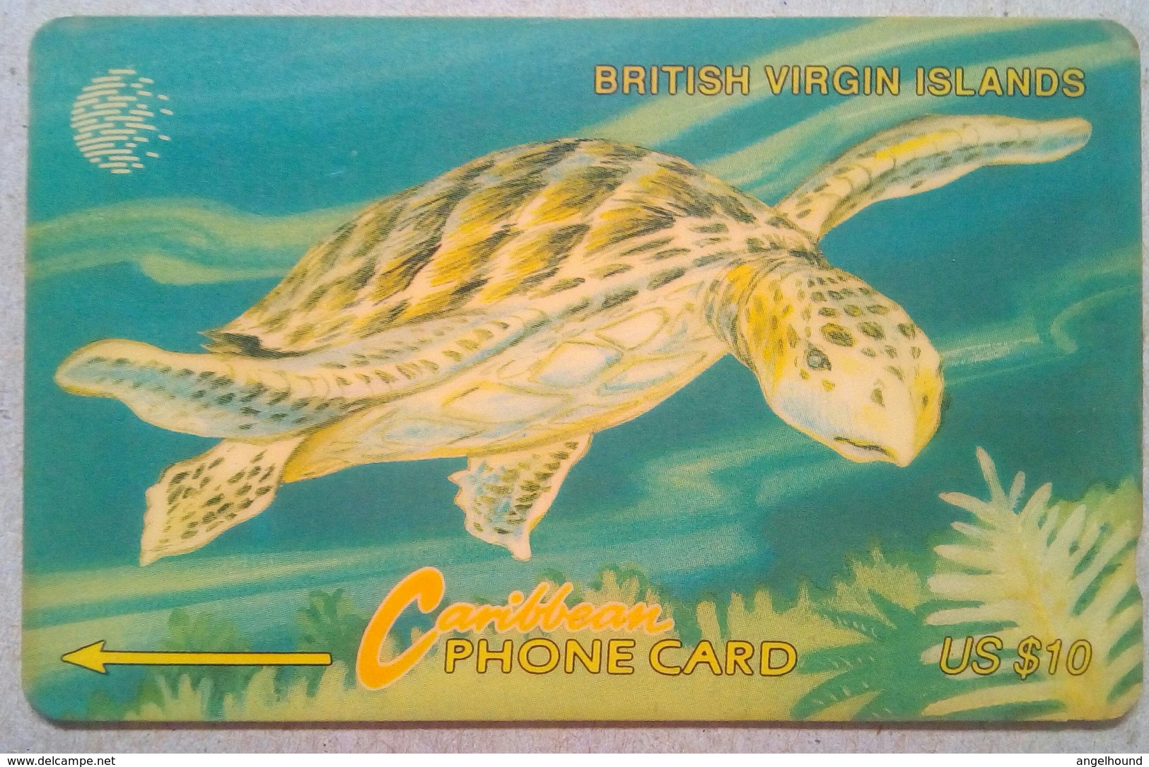19CBVC Turtle $10 - Virgin Islands