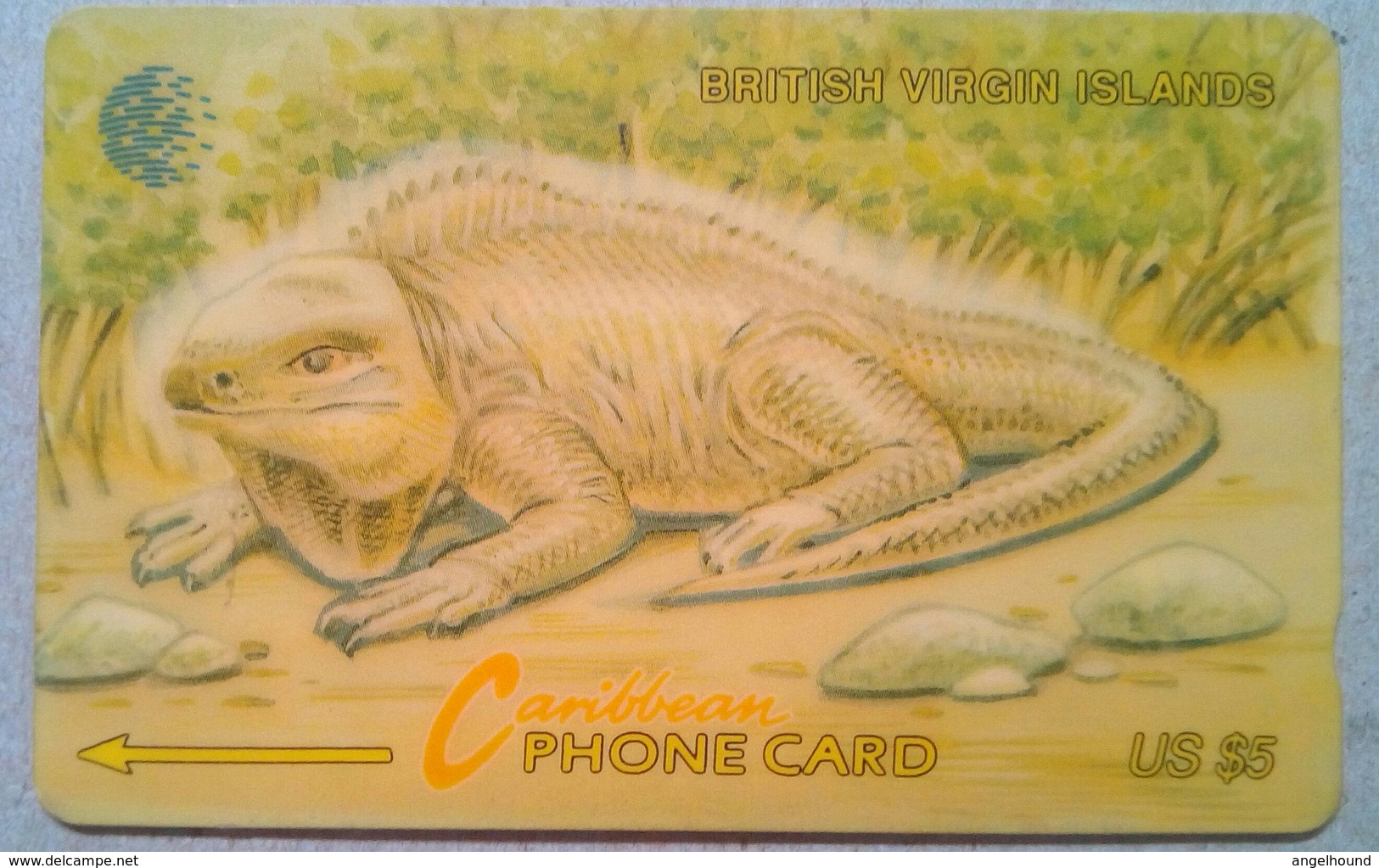 21CBVA Iguana $5 - Jungferninseln (Virgin I.)