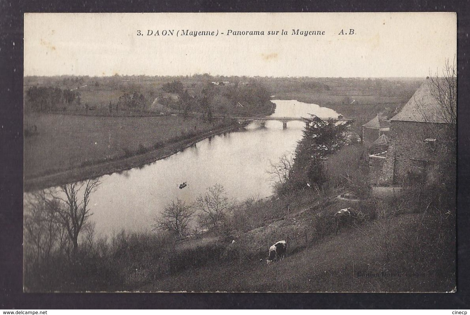 CPA 53 - DAON - Panorama Sur La Mayenne - TB PLAN Fleuve + TB Habitation à Droite - Other & Unclassified