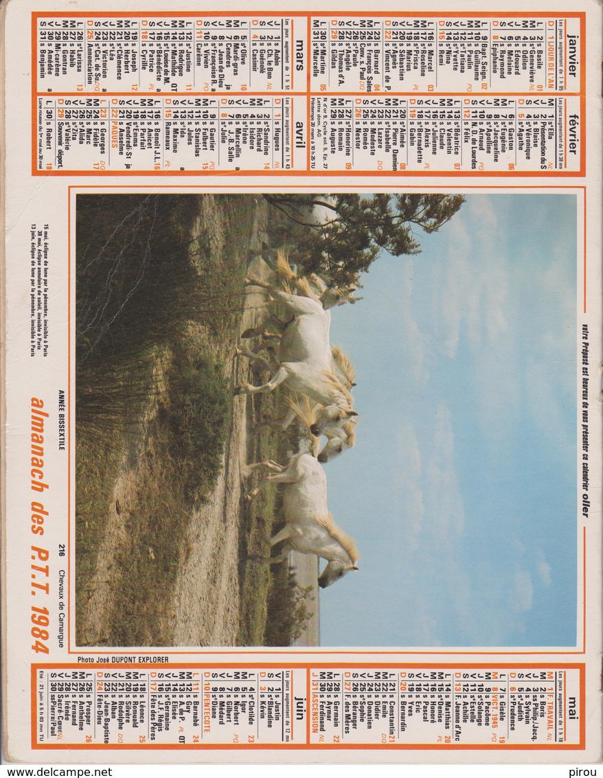 CALENDRIER PTT 1984 - Tamaño Grande : 1981-90