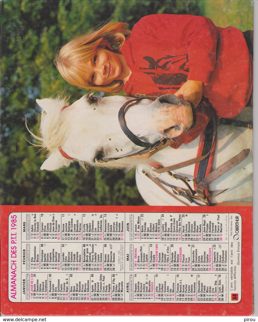 CALENDRIER PTT 1985 ( ENFANTS Avec  CHEVAL Et CHIEN ) - Grand Format : 1981-90