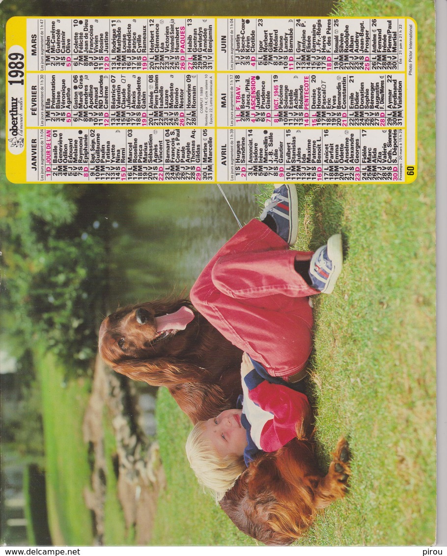 CALENDRIER PTT 1989 ( ENFANTS Avec  CHIENS ) - Grand Format : 1981-90