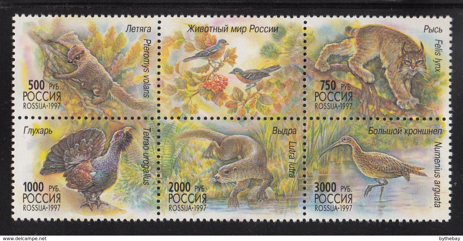 Russia 1997 MNH Scott #6397 Block Of 5, Label Flying Squirrel, Lynx, Wood Grouse, Otter, Curlew - Neufs