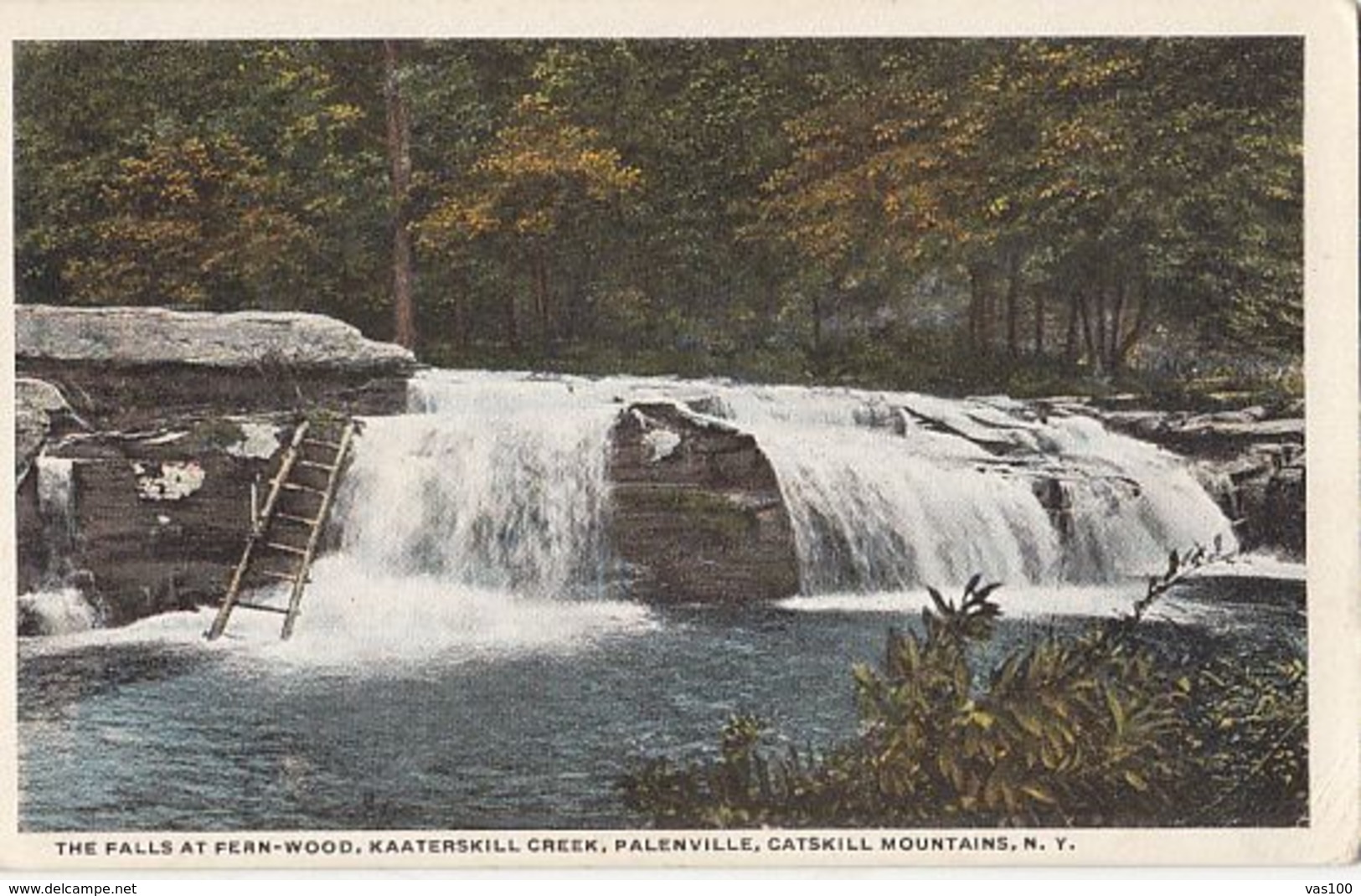 CPA CATSKILL MOUNTAINS- FERN WOOD WATERFALLS - Catskills