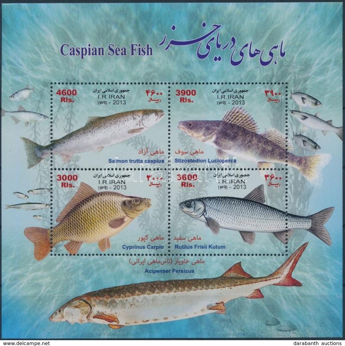 ** 2014 Halak Kisív 4é - Altri & Non Classificati