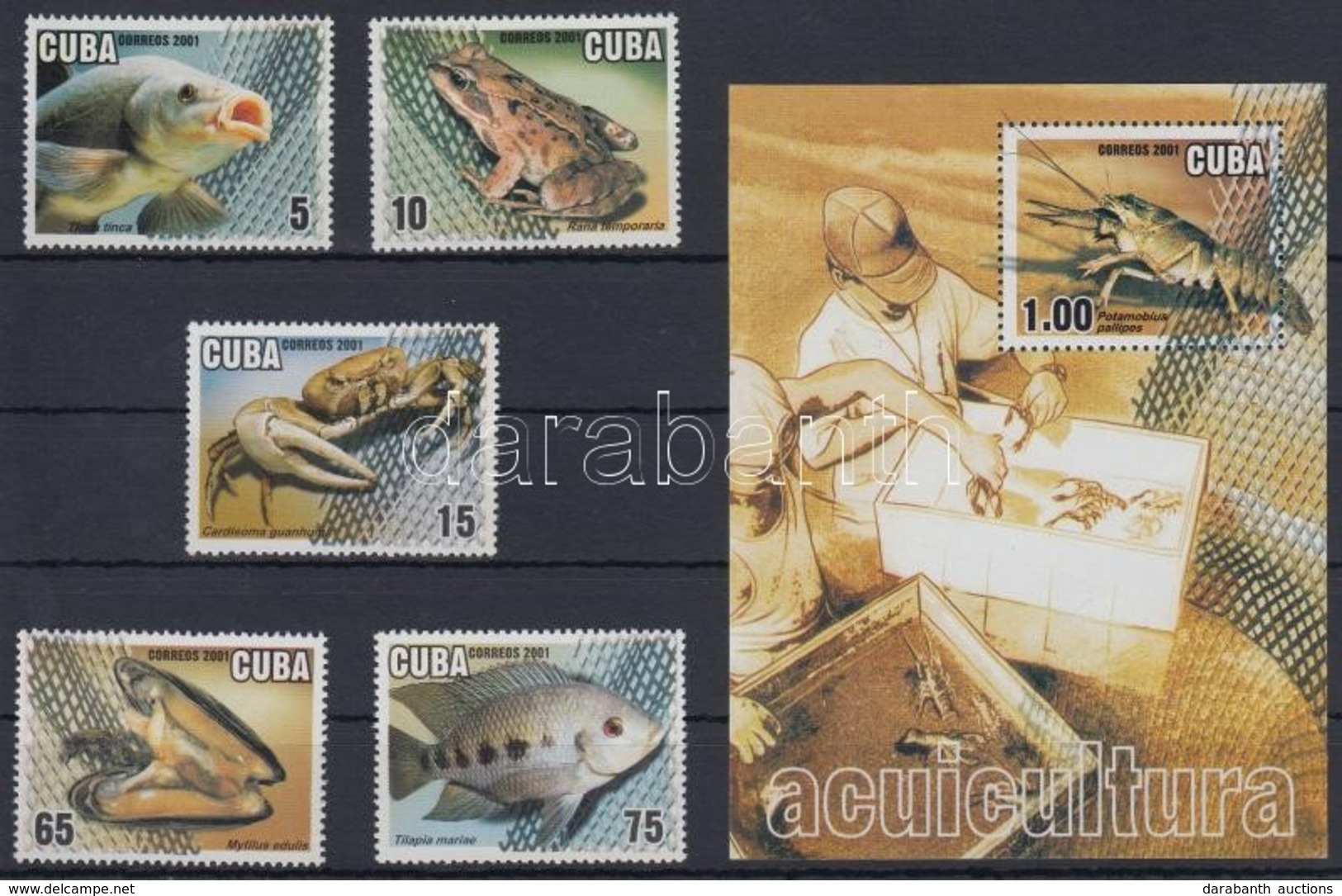 ** 2001 Víziállatok Sor Mi 4366-4370 + Blokk 167 + 3 FDC - Autres & Non Classés