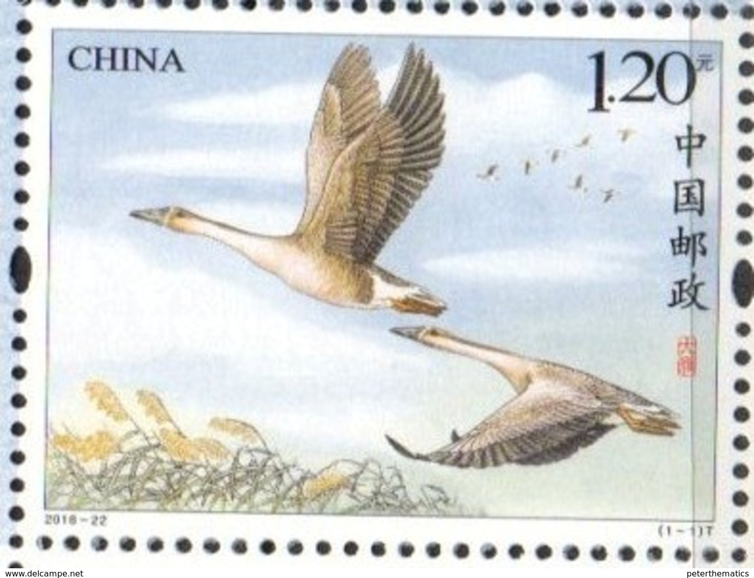 CHINA, 2018, MNH, BIRDS, GEESE, 1v - Oche