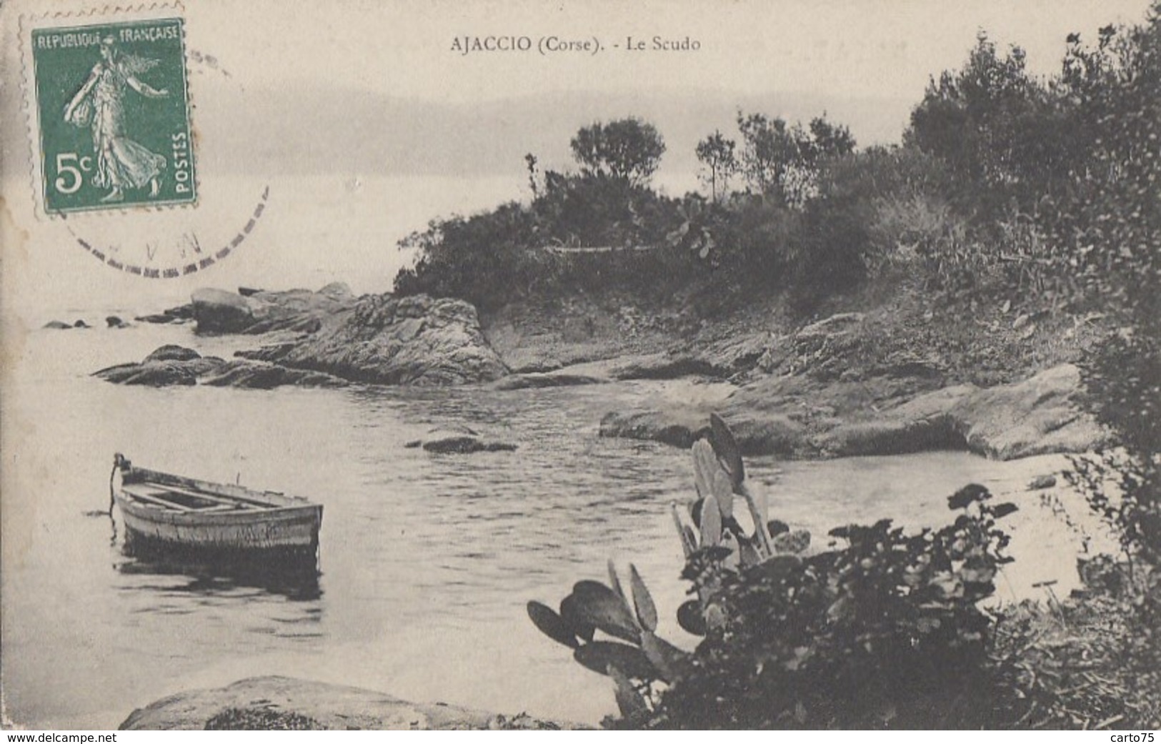 Plantes - Cactus Raquettes - Ajaccio - Plage Le Scudo - 1910 - Cactus