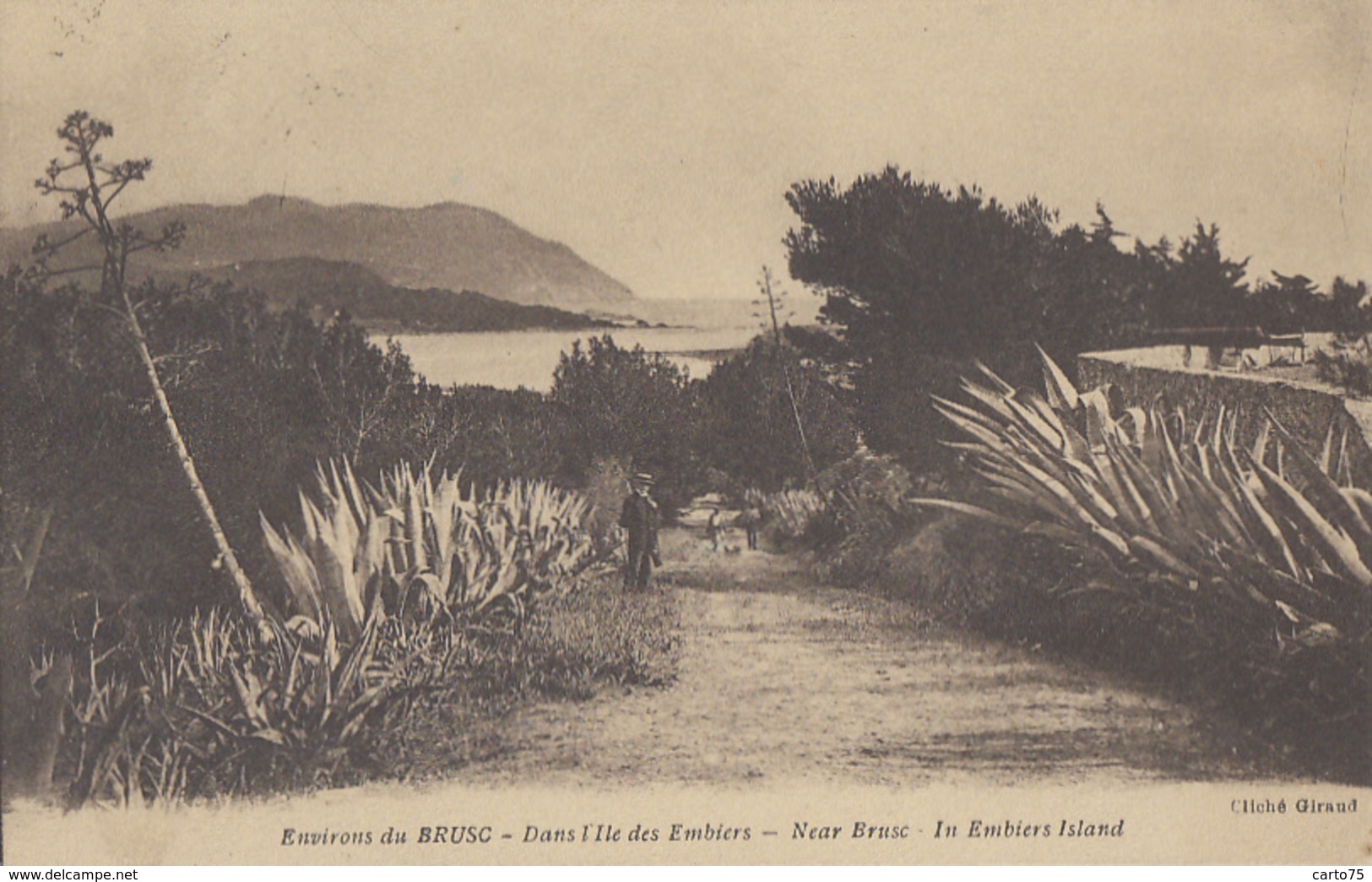 Plantes - Cactus Aloès - Le Brusc Six Fours 83 - Iles Des Embiez - Editeur Giraud Toulon - Cactusses