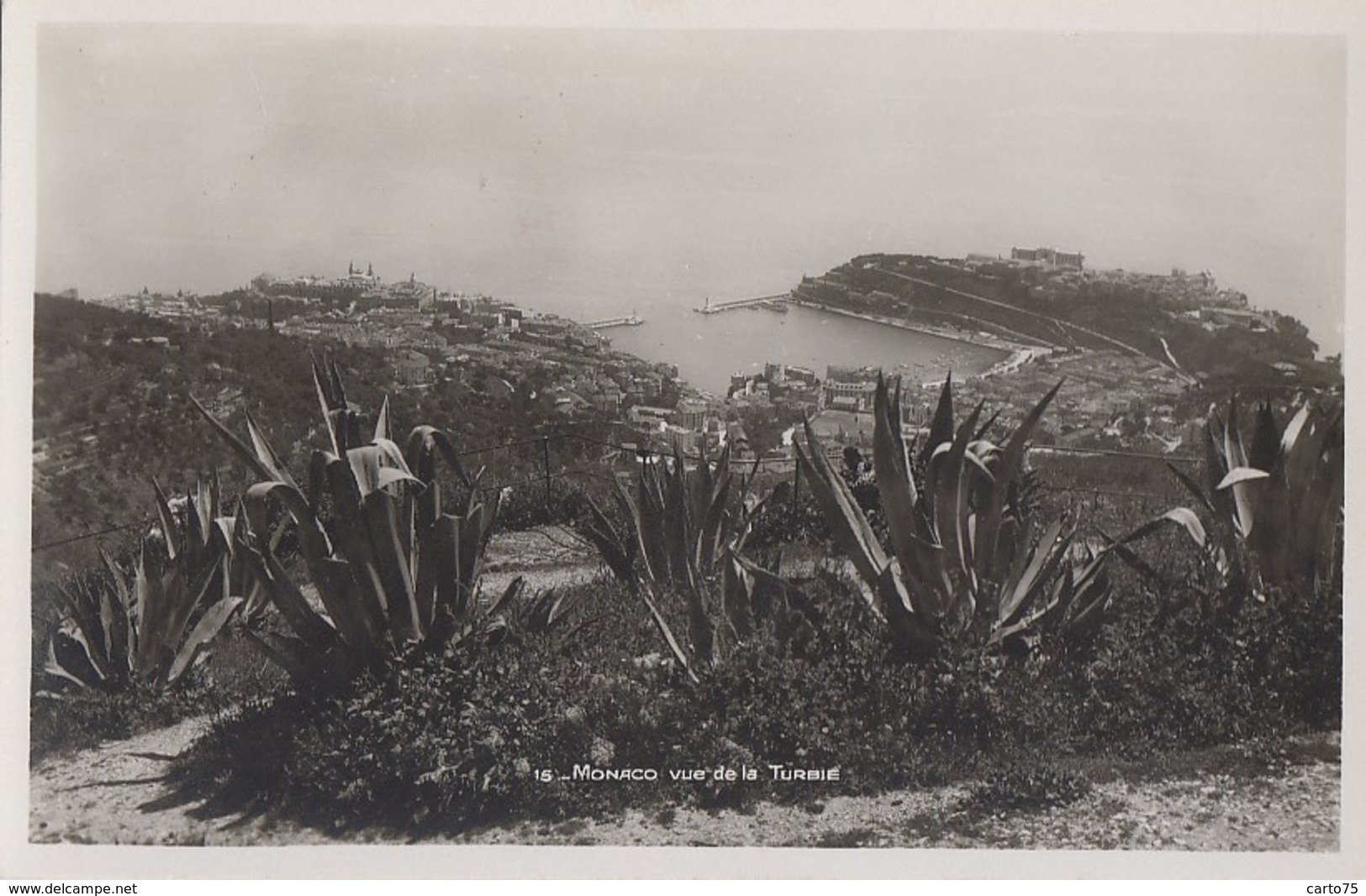 Plantes - Cactus Aloès - Monaco - Vue Sur La Turbie - Cactusses