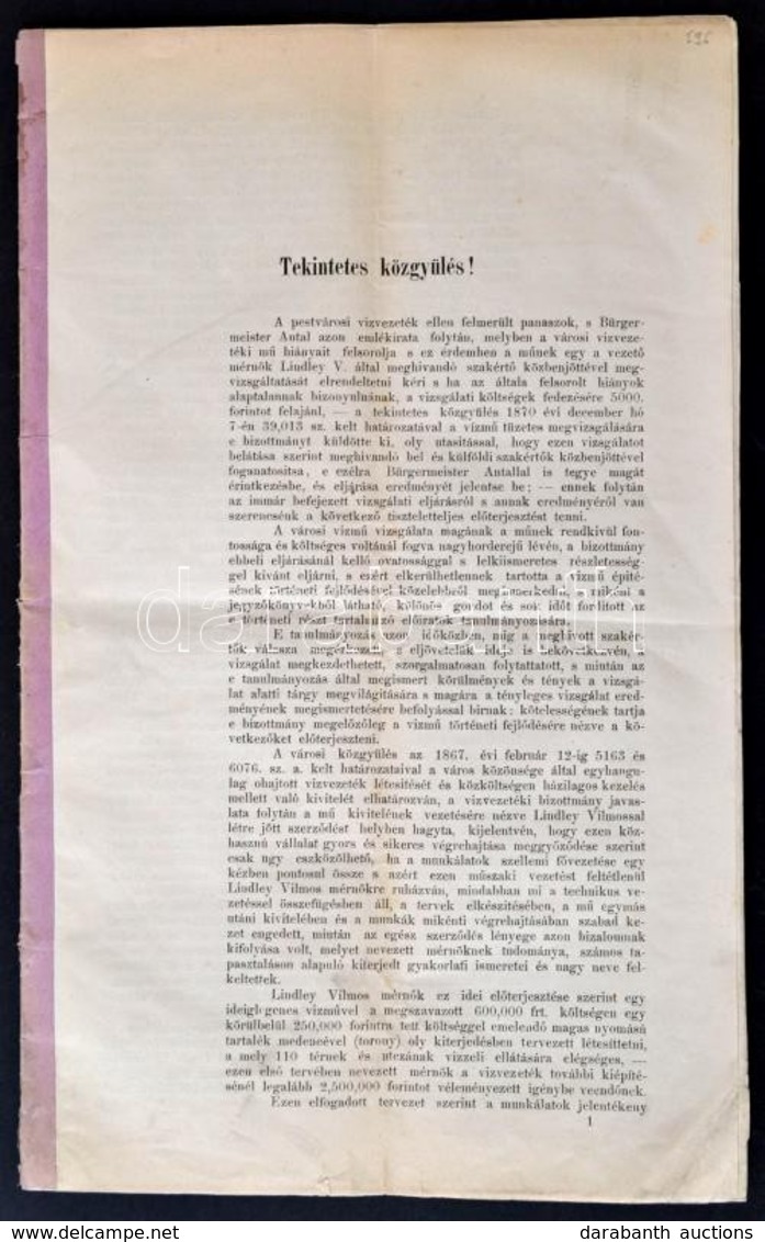 1872 Viola Imre: Szabad Királyi Pest Város Tekintetes Közgyűléséhez írt A Városi Vízvezetéki Mű Vizsgálatára Kőzgyülésil - Non Classés