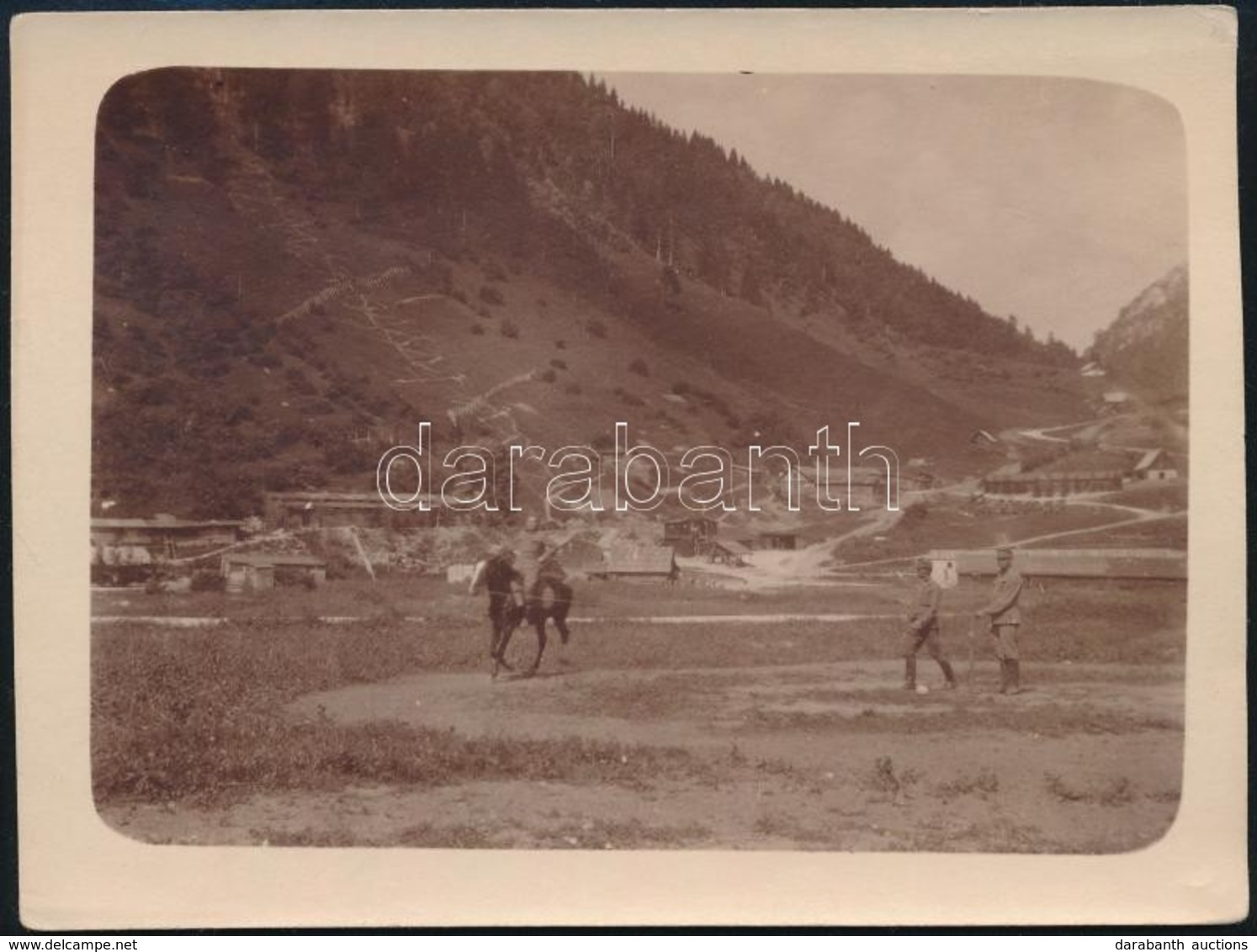 1916 Wolfsbach, Ausztria, Katonai Lókiképzés Vezetőszáron, Fotó, Hátoldalon Feliratozva, 8,5×11,5 Cm - Non Classés