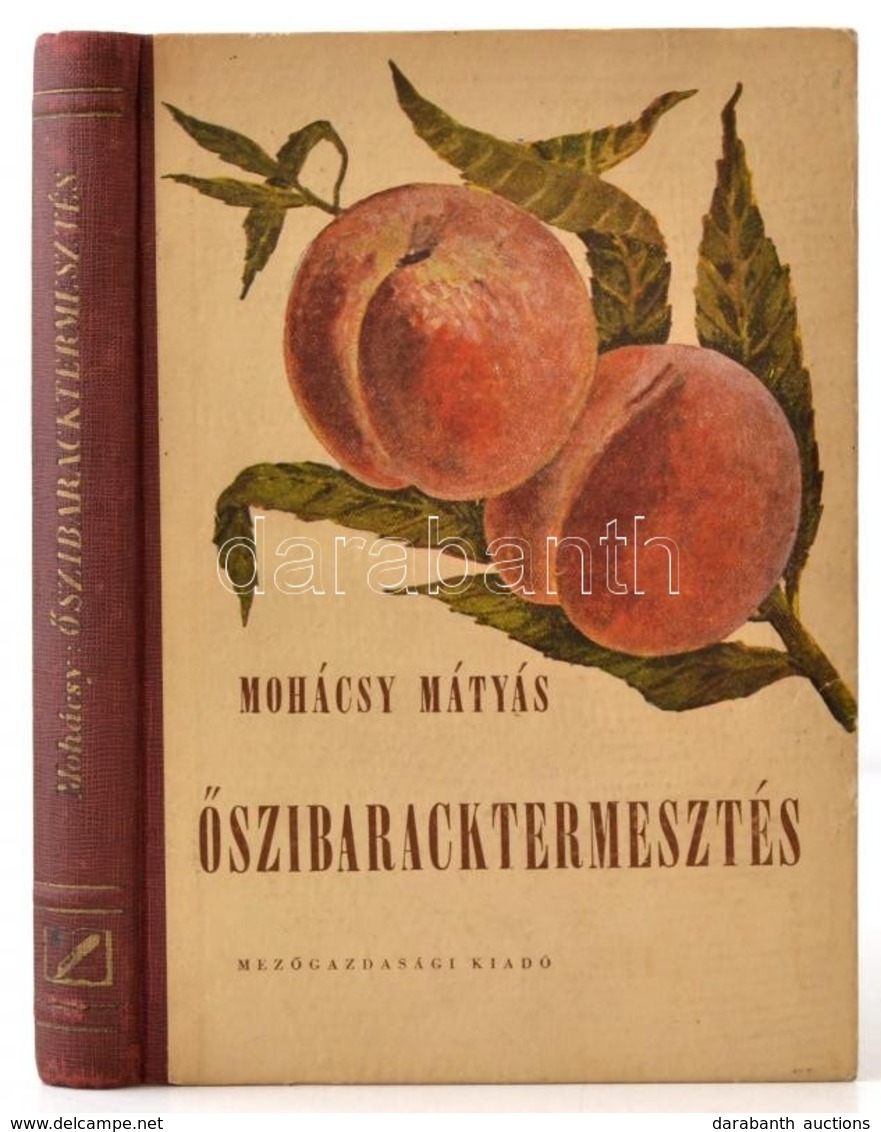 Mohácsy Mátyás: Őszibaracktermesztés. Bp., 1956, Mezőgazdasági Kiadó. Kiadói Félvászon Kötés, Jó állapotban. - Non Classés