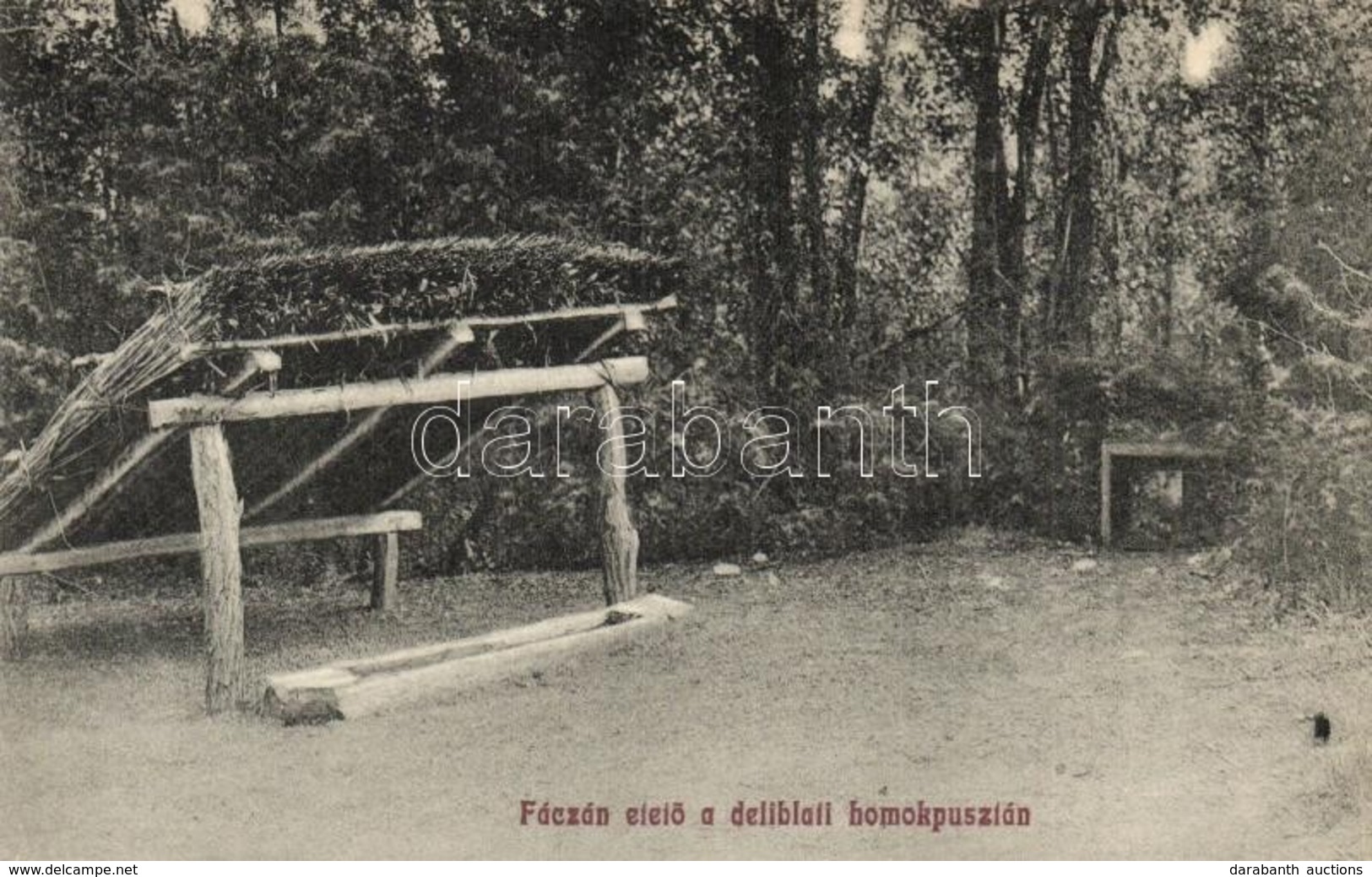 * T2 Deliblát, Deliblato; Fácánetető A Delibláti Homokpusztán / Pheasant Feeder In Deliblato Sands - Non Classés