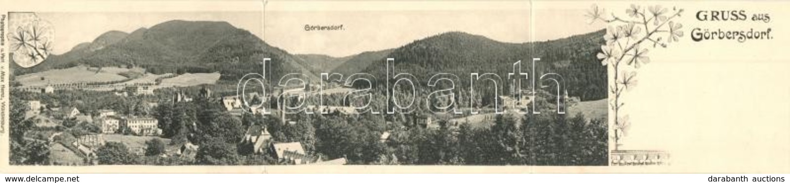 T2/T3 Sokolowsko, Görbersdorf; Gruss Aus... Photographie U. Verl. V. Max Heinz; 3-tiled Panoramacard, Floral (Rb) - Ohne Zuordnung