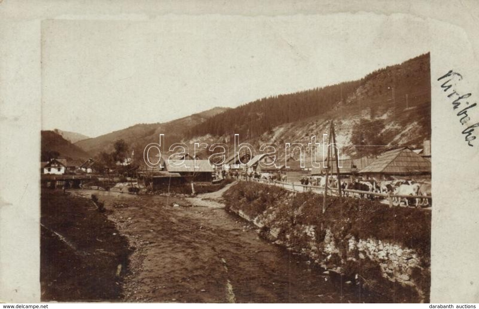 * T2/T3 Carlibaba, Kirlibaba (Bukovina, Bucovina); ökrök, Híd / Bridge, Oxen. Photo  (fl) - Non Classificati