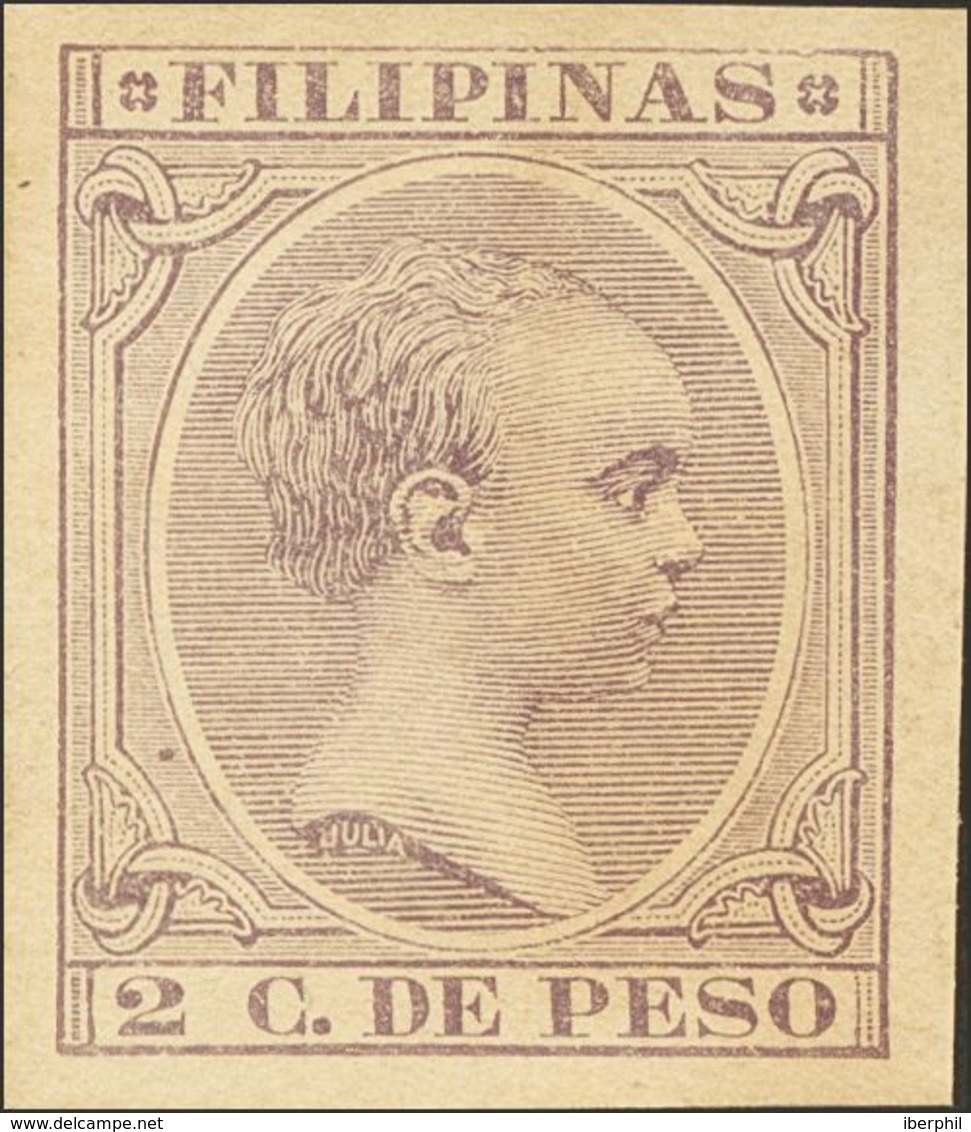 **93s. 1891. 2 Ctvos Violeta Castaño. SIN DENTAR. MAGNIFICO Y RARISIMO. Edifil 2019: +++210 Euros - Philipines
