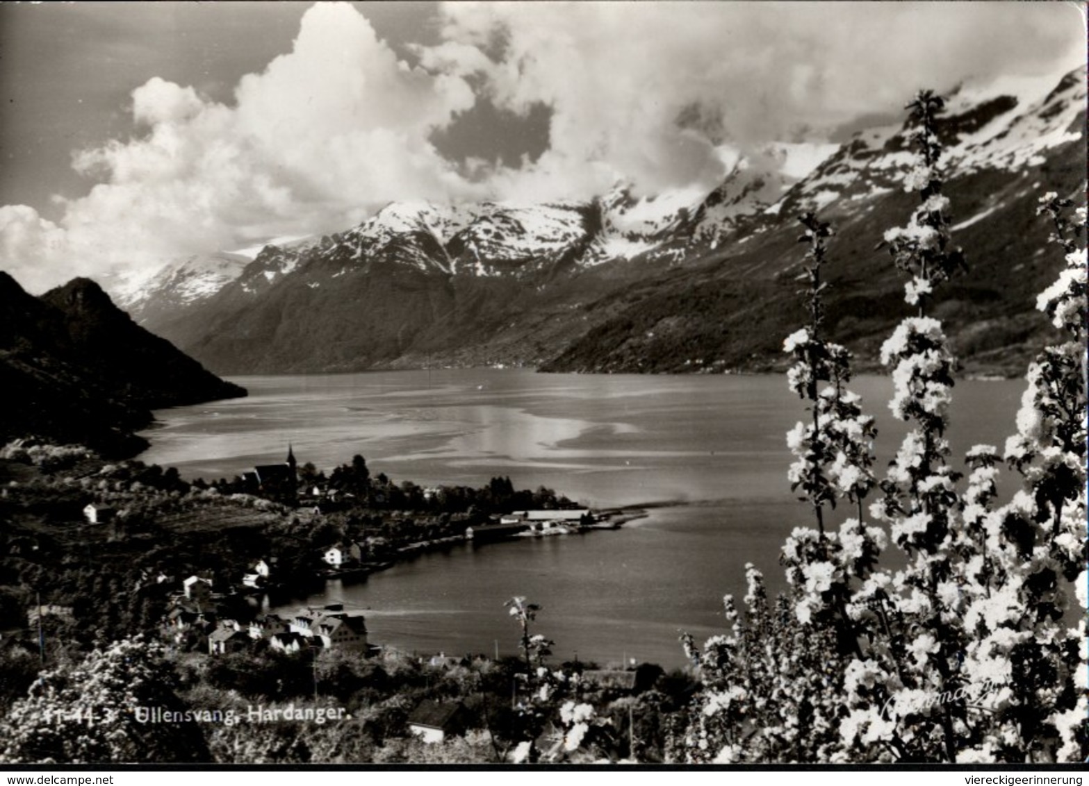 ! Postcard, Ansichtskarte, 1961, Ullensvang, Hardanger, Norwegen, Norge, Norway, Norvege - Norvegia