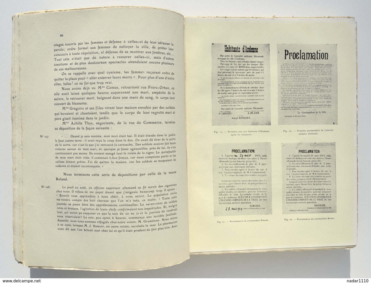 14-18 / L'Invasion Allemande Dans Les Provinces De Namur Et Luxembourg, 1920 / Andenne, Floreffe, Temploux, Lustin, Etc. - 1914-18